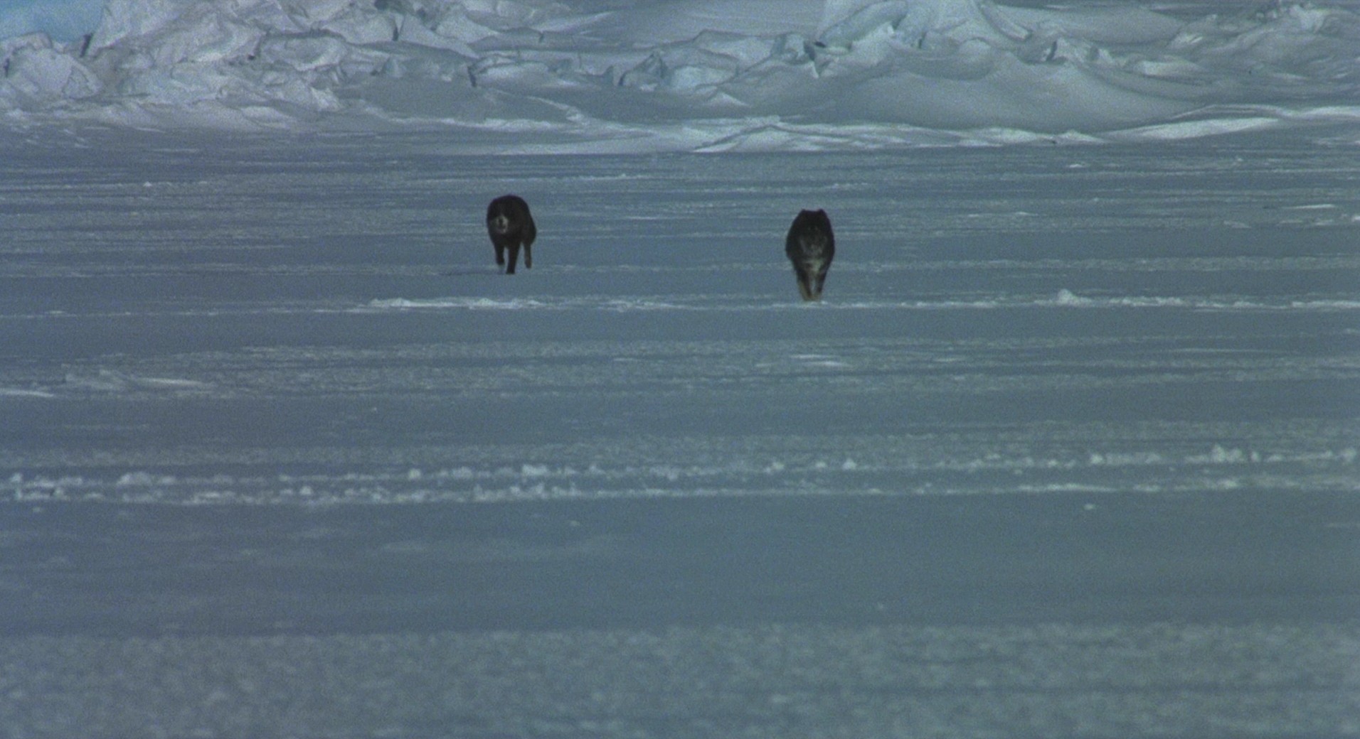 Eight Below (2006) —  shot,  lighting