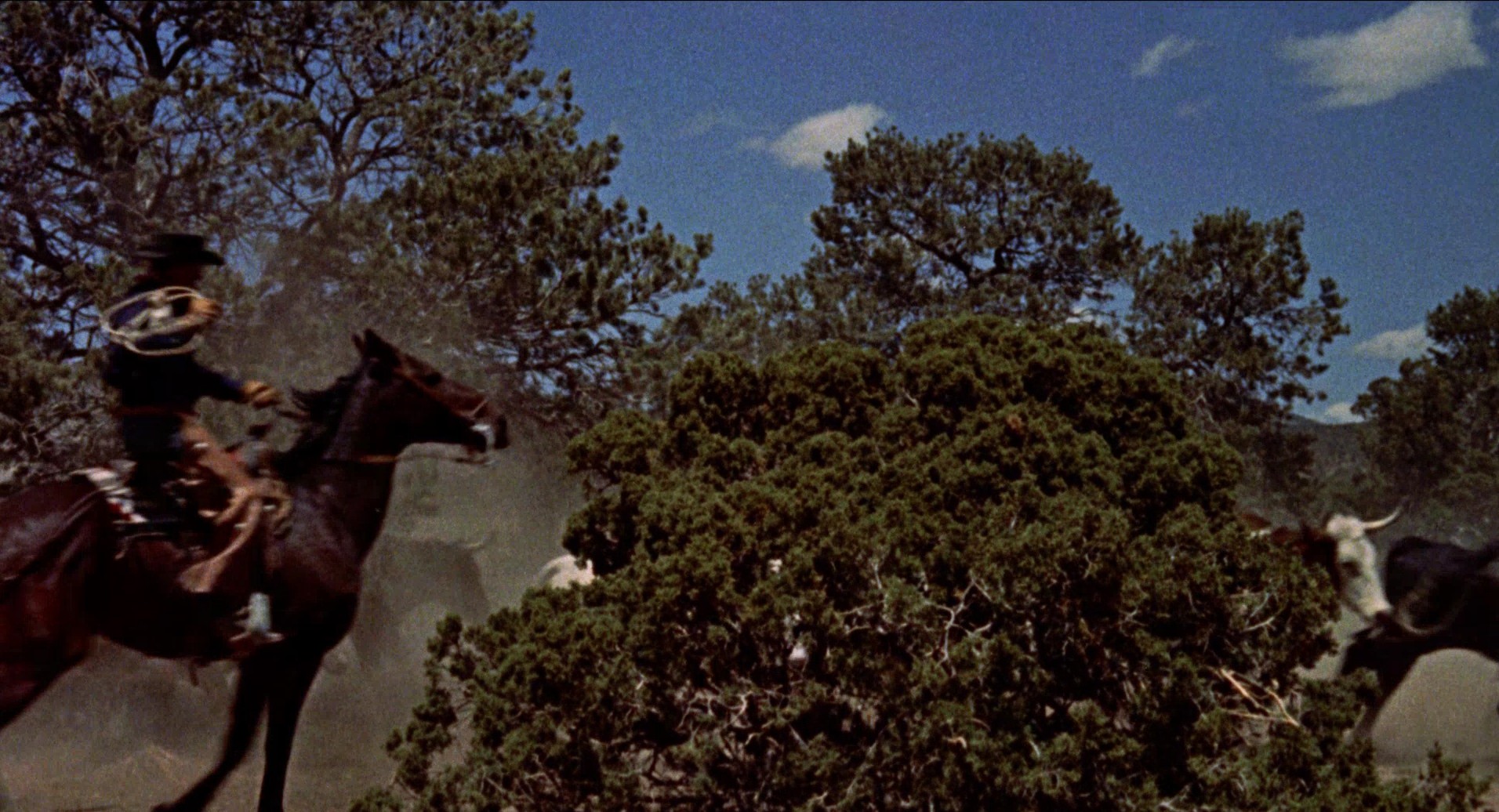 Cowboy (1958) —  shot,  lighting