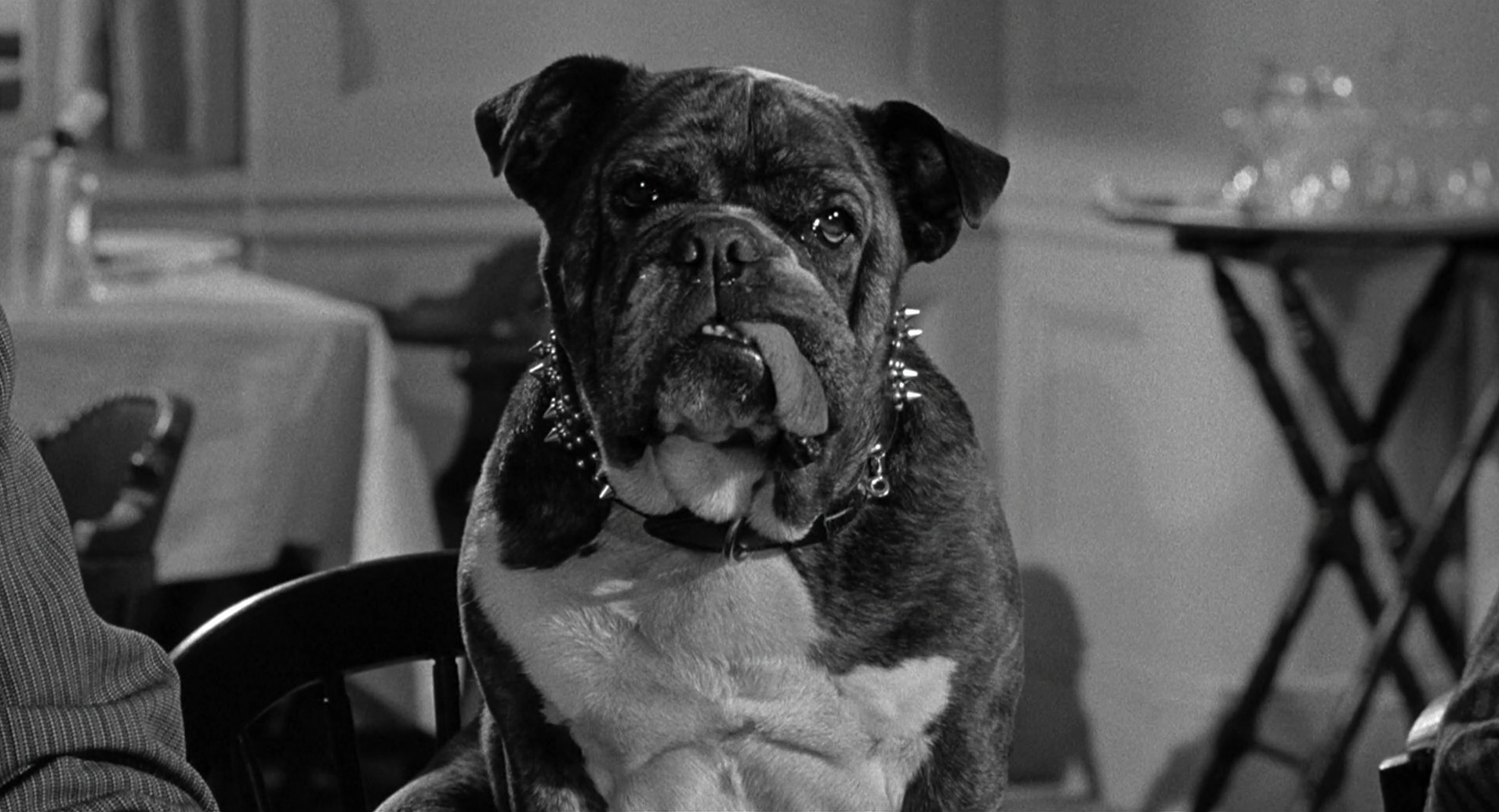 Ship of Fools (1965) —  shot,  lighting