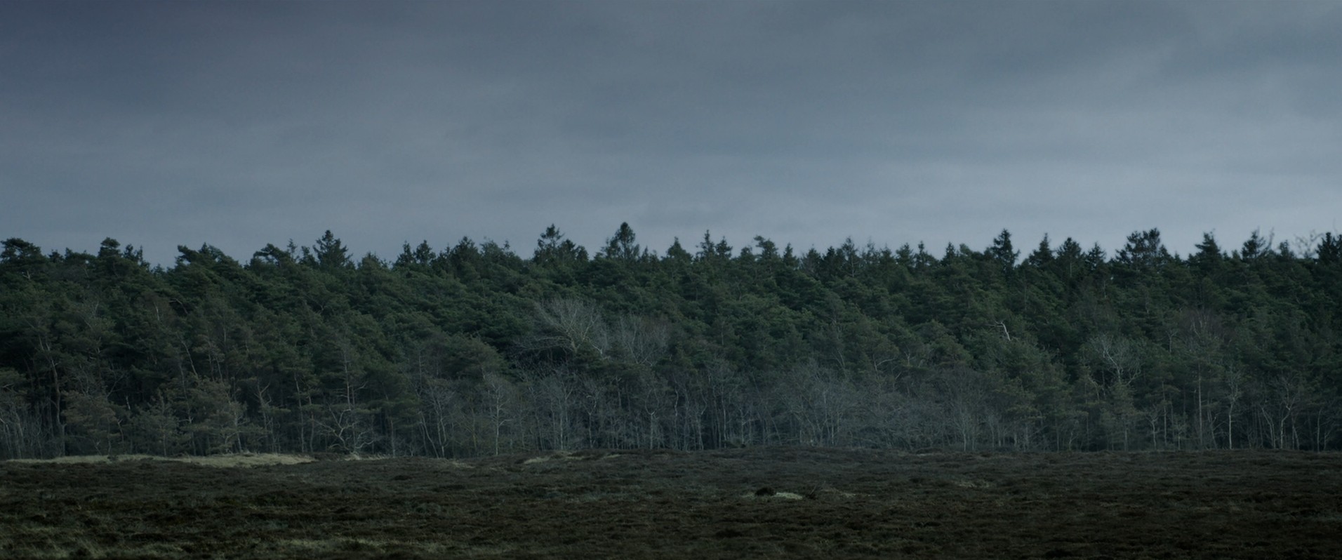 I Kill Giants (2017) —  shot,  lighting