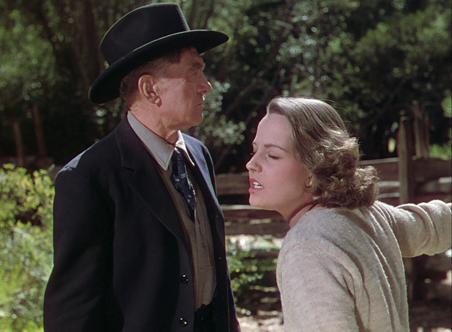 The Shepherd of the Hills (1941) —  shot,  lighting