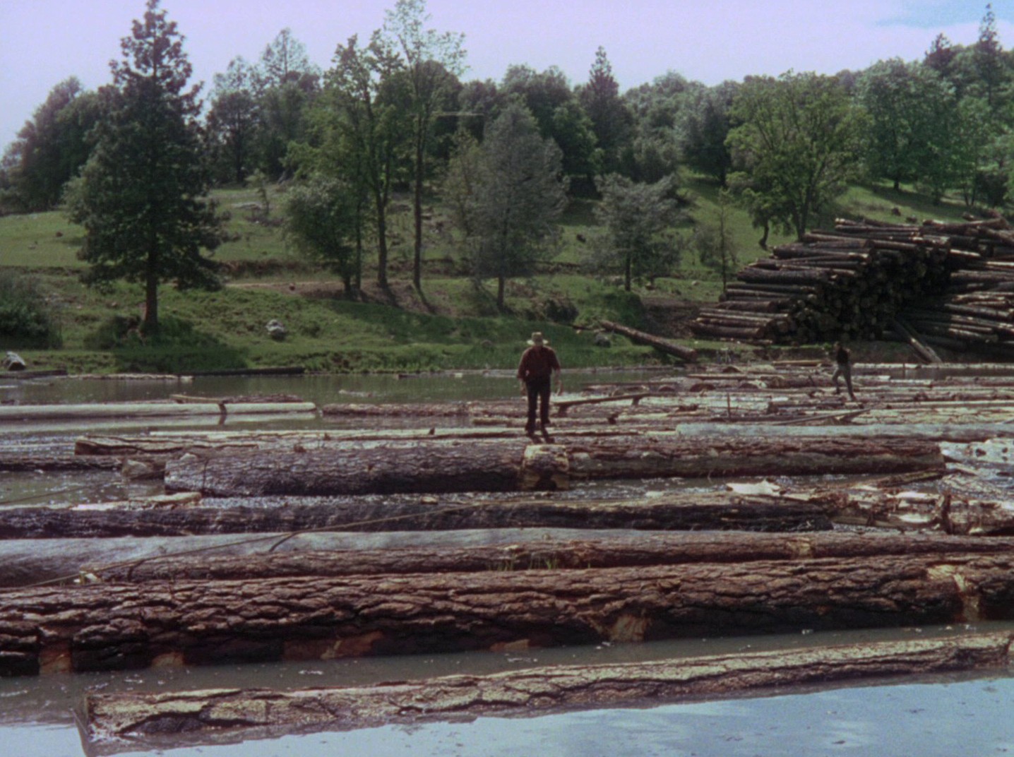 High Vermilion (1951) —  shot,  lighting