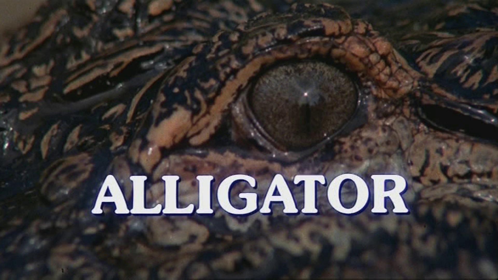 Alligator (1980) —  shot,  lighting