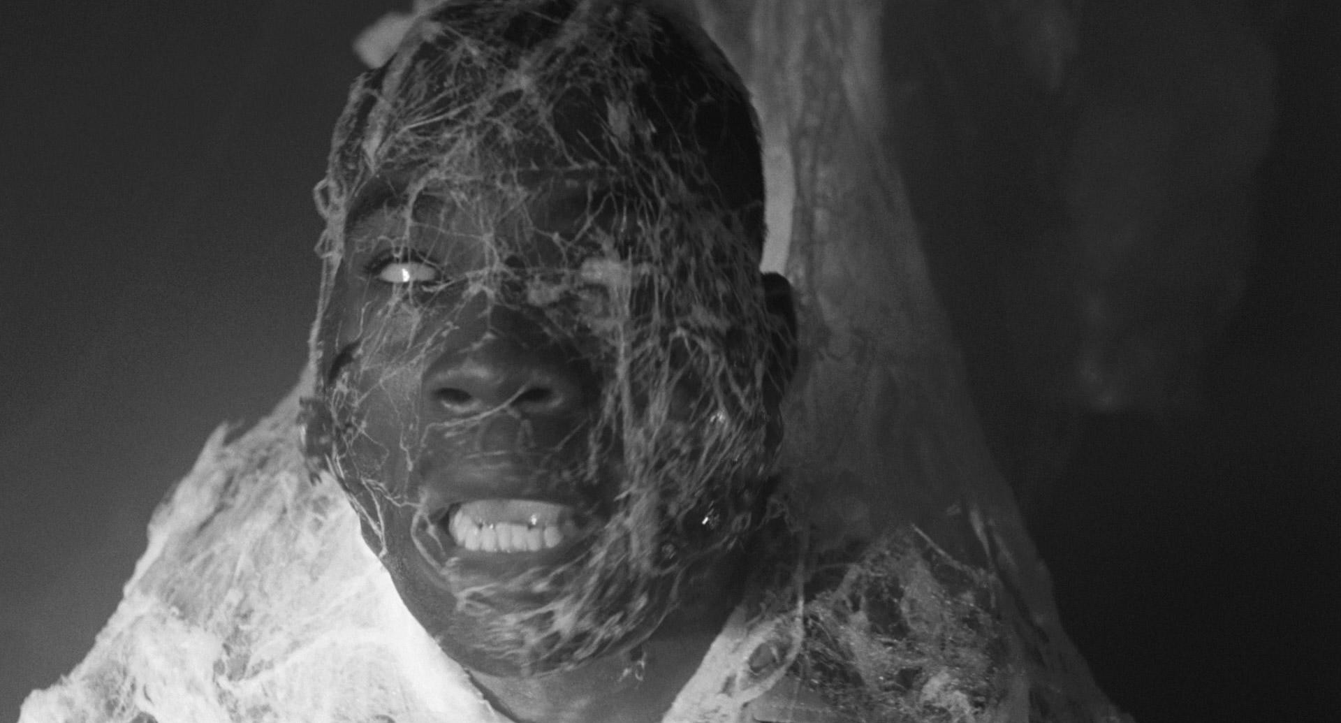 The Mist (2007) —  shot,  lighting