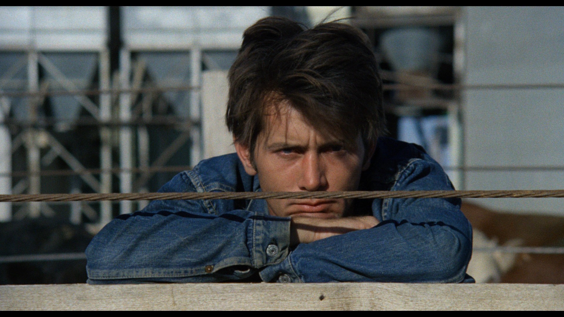 Badlands (1973) —  shot,  lighting