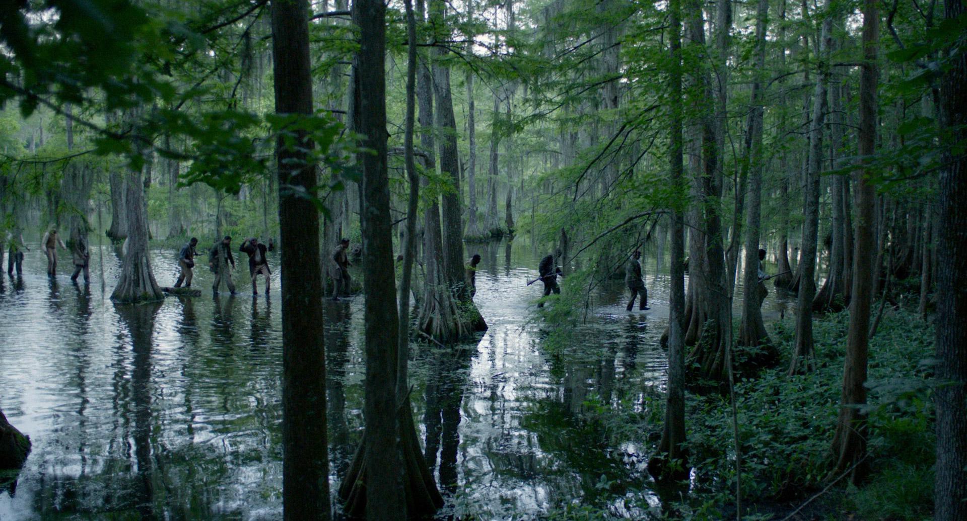 Free State of Jones (2016) —  shot,  lighting