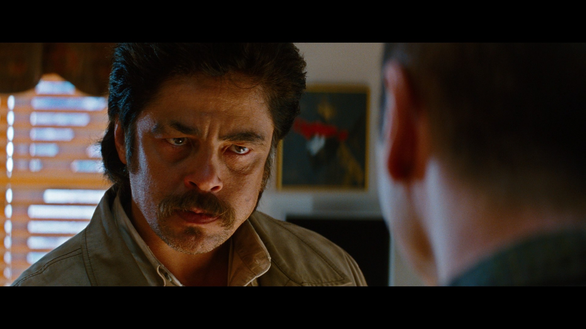 Savages (2012) —  shot,  lighting