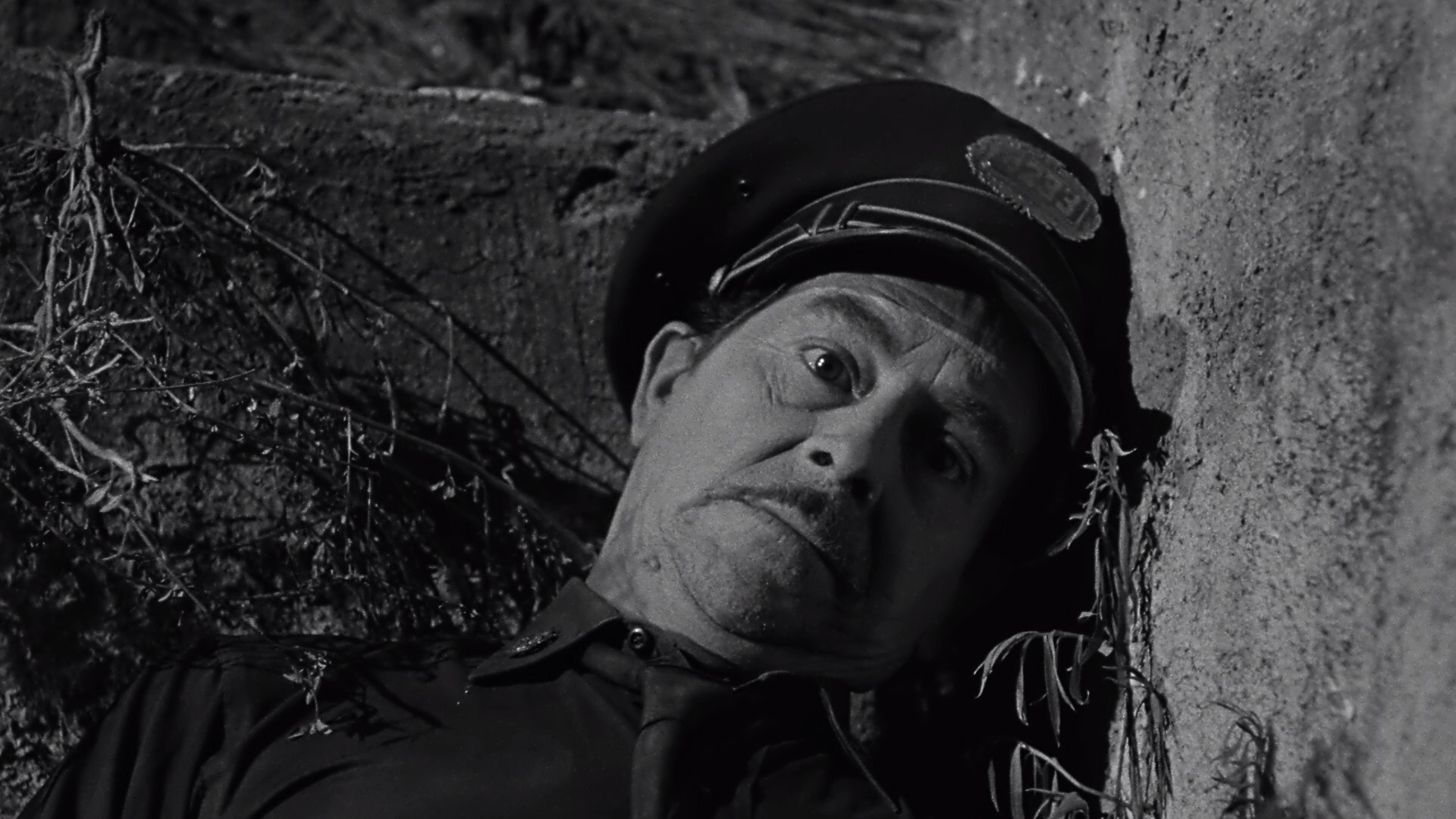 The Black Scorpion (1957) —  shot,  lighting