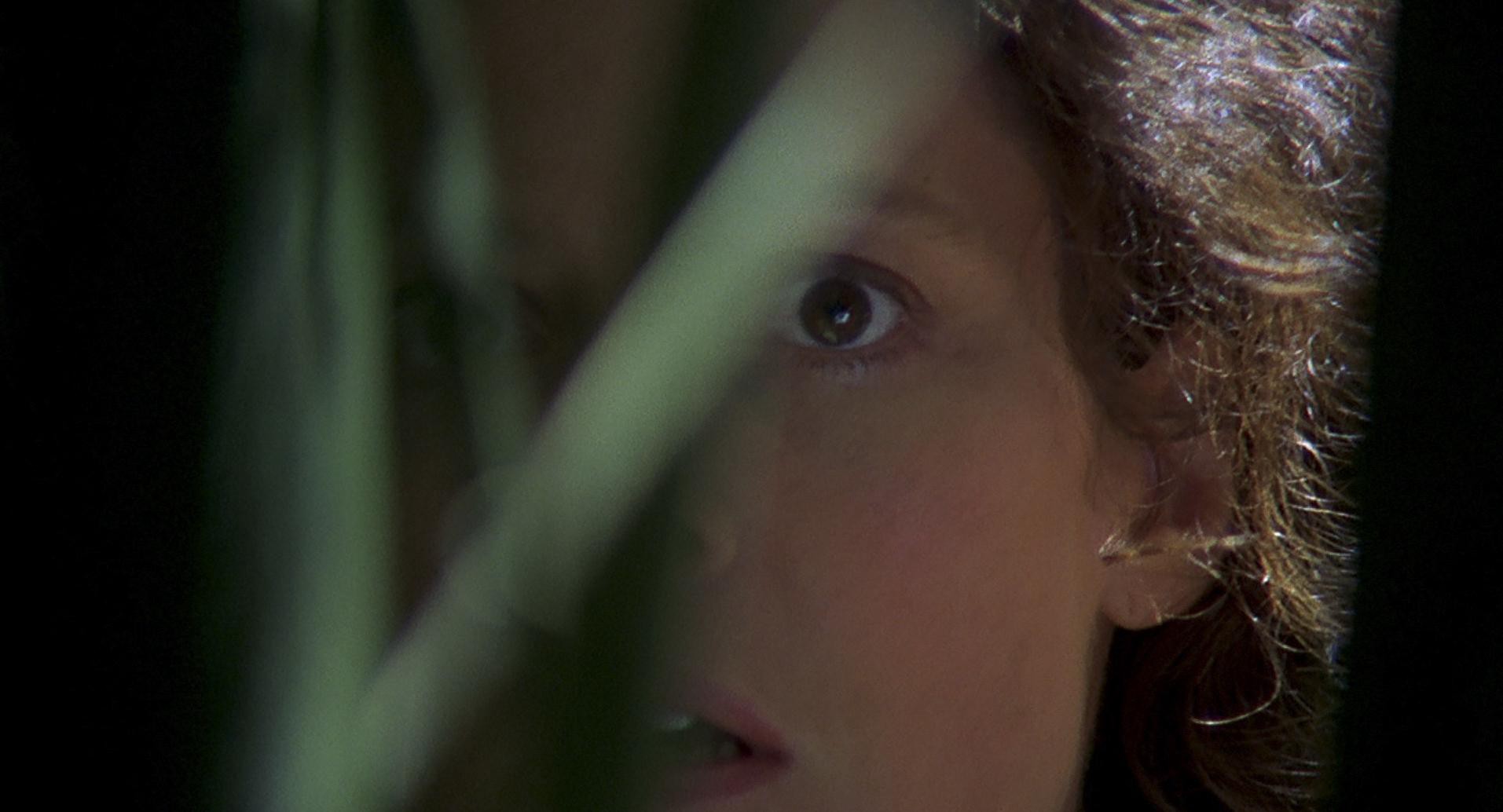 Gorillas in the Mist (1988) —  shot,  lighting