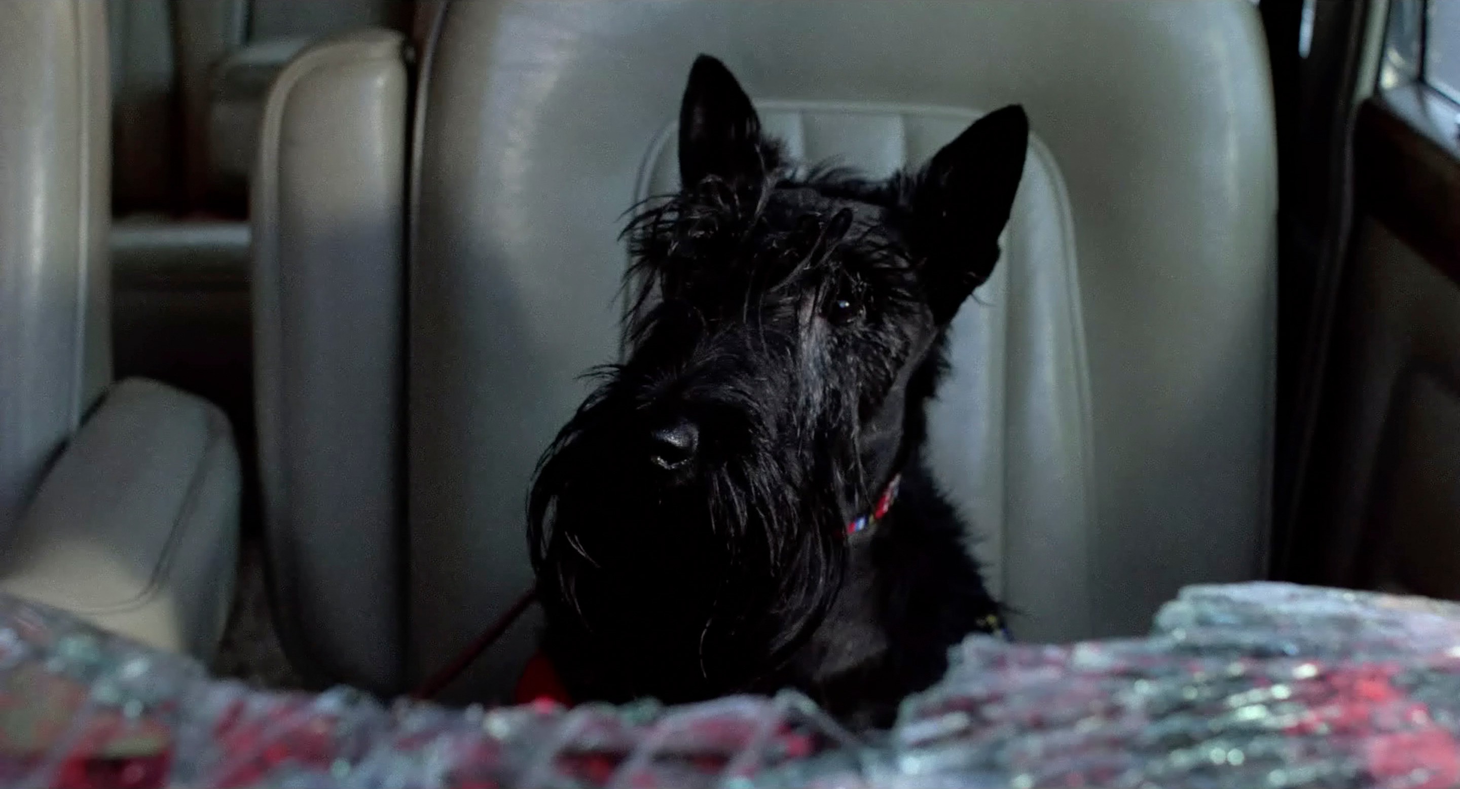 Sid and Nancy (1986) —  shot,  lighting