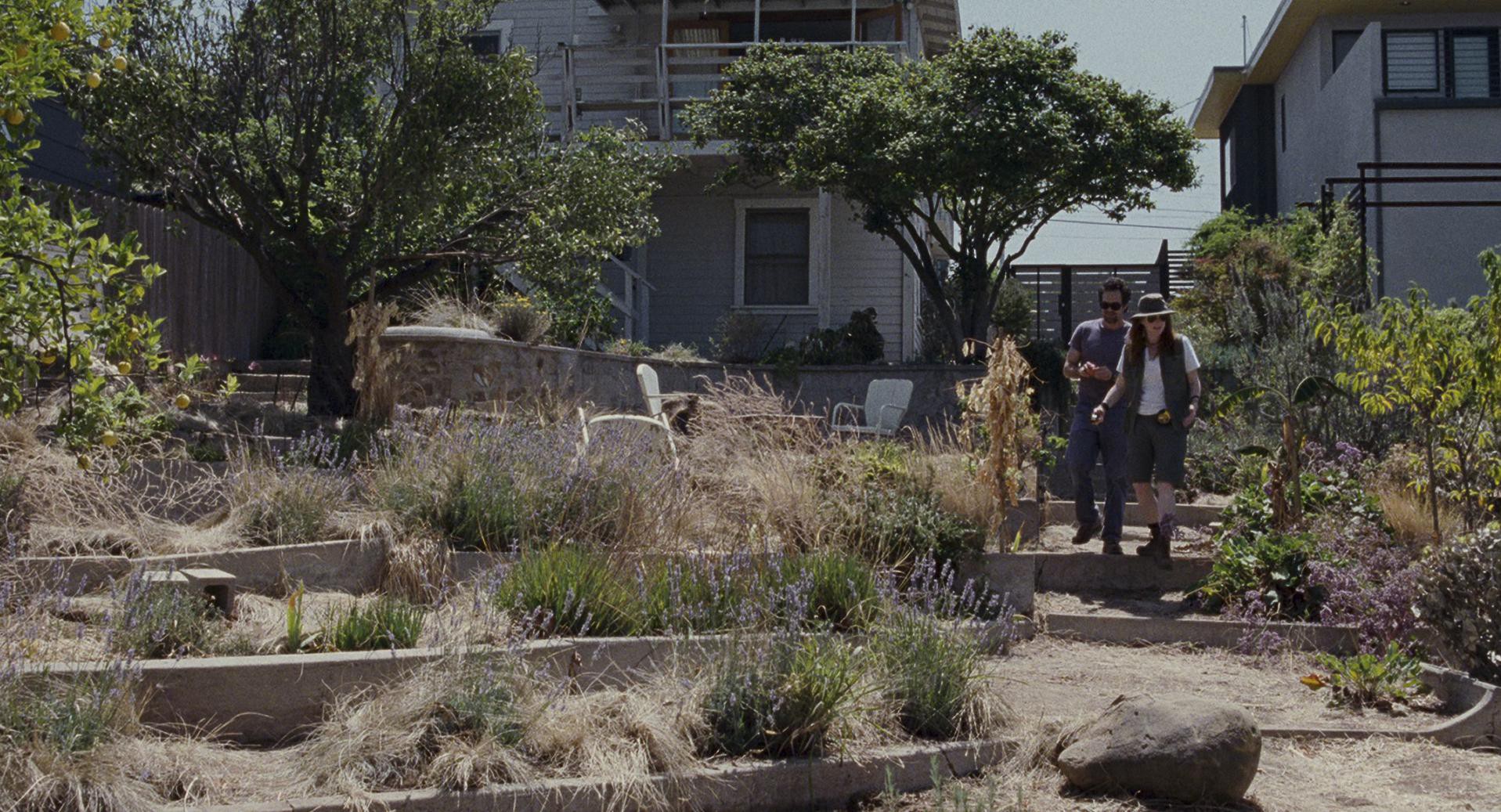 The Kids Are All Right (2010) —  shot,  lighting