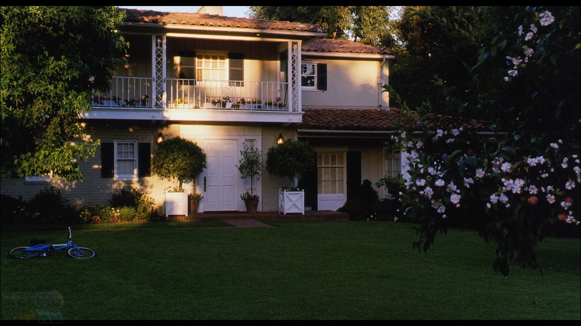 The Guardian (1990) —  shot,  lighting