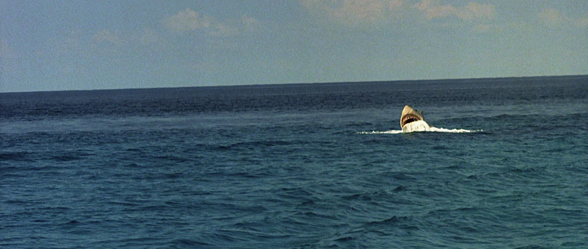 Jaws: The Revenge (1987) —  shot,  lighting