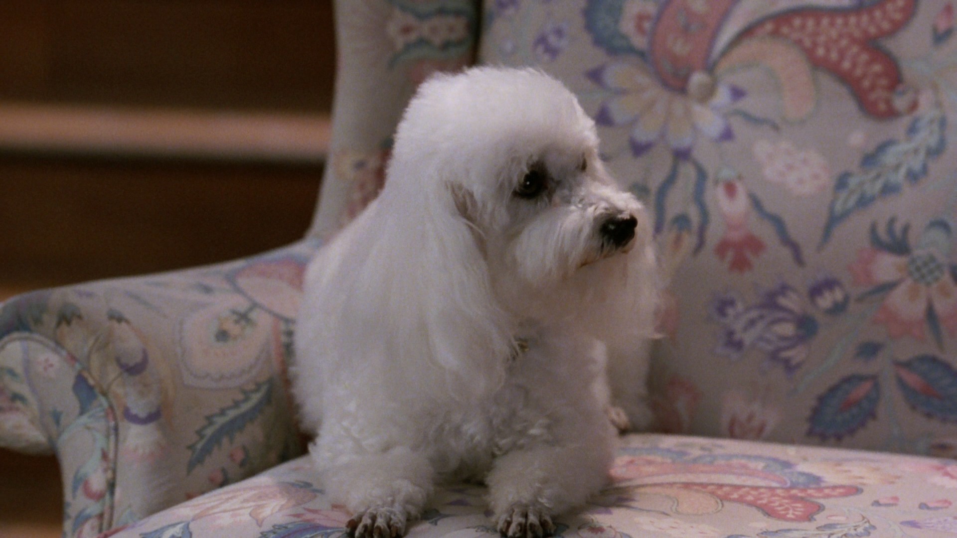 Coming to America (1988) —  shot,  lighting