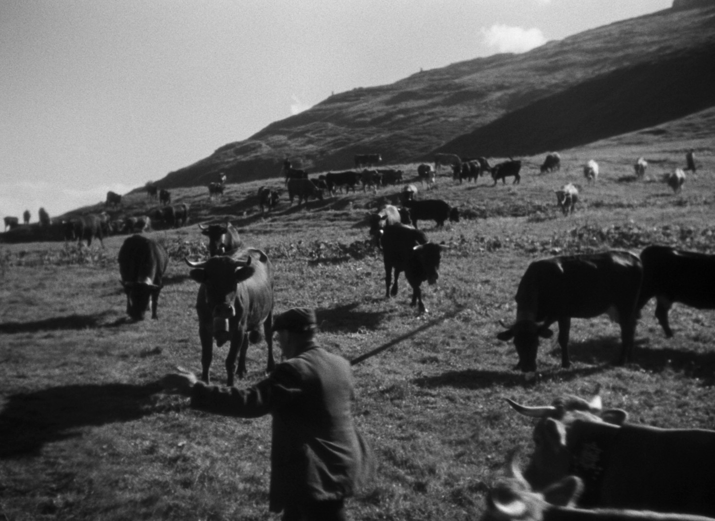 Premier de cordée (1944) —  shot,  lighting