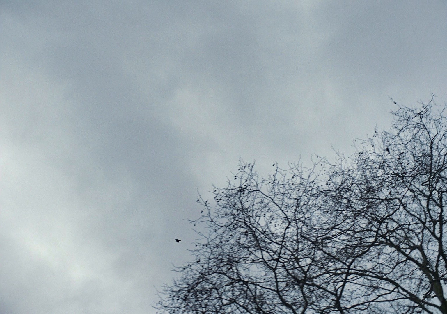 Barnardo's 'Be More Gladys' (2023) —  shot,  lighting