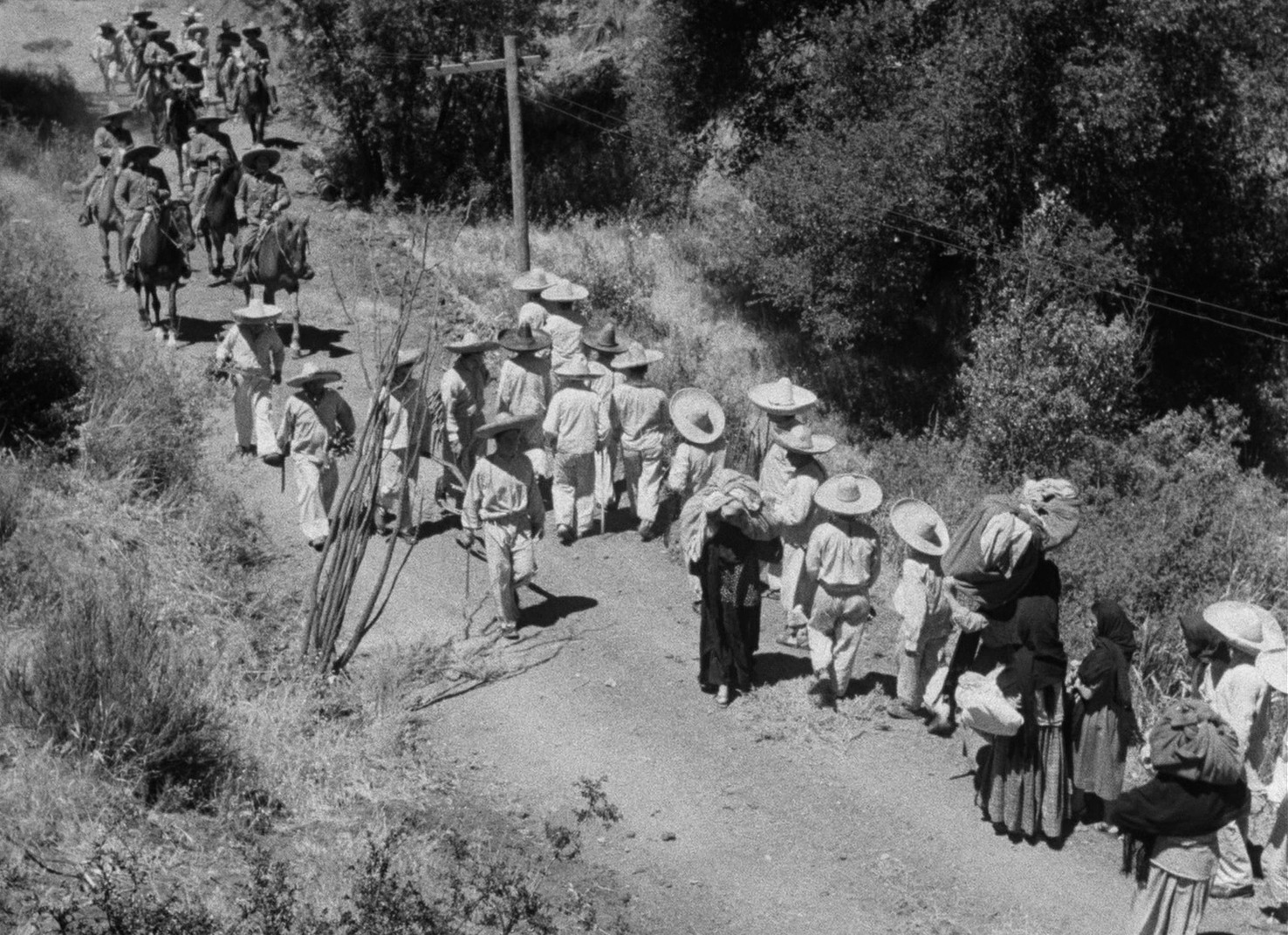 Viva Zapata! (1952) —  shot,  lighting