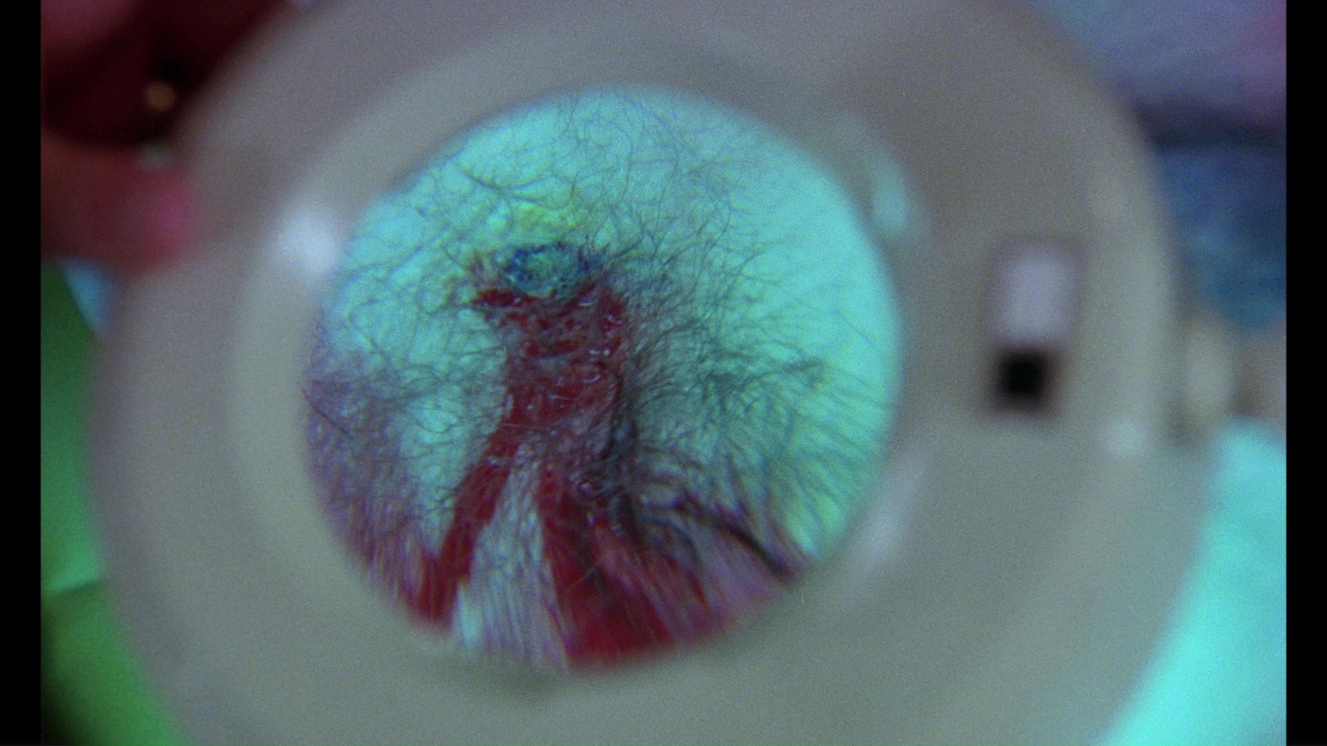 Rabid (1977) —  shot,  lighting