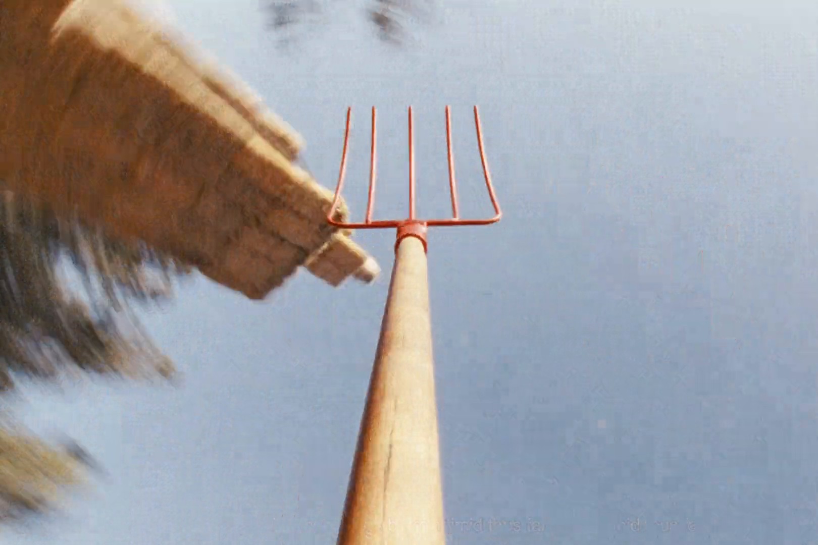 Myślę sobie Ż (2024) —  shot,  lighting