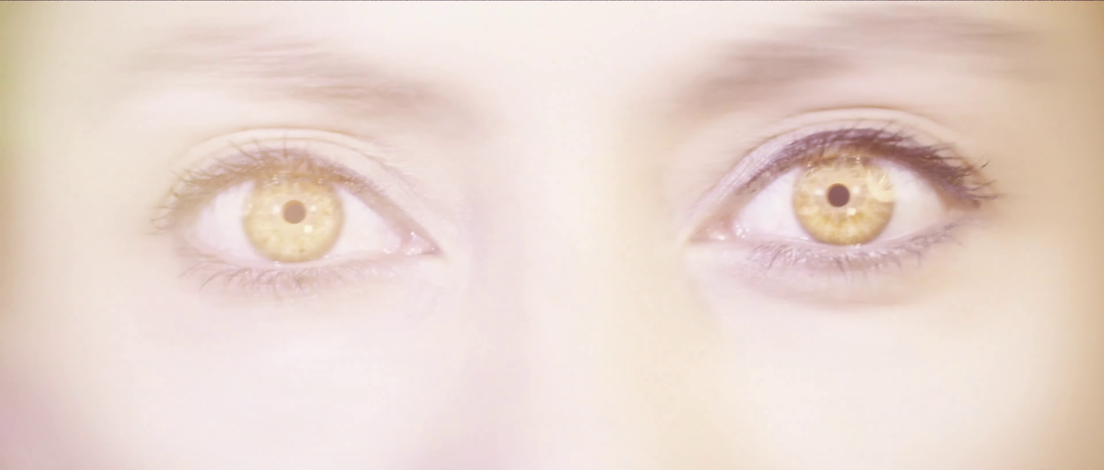 Ne l'oublie pas (2022) —  shot,  lighting