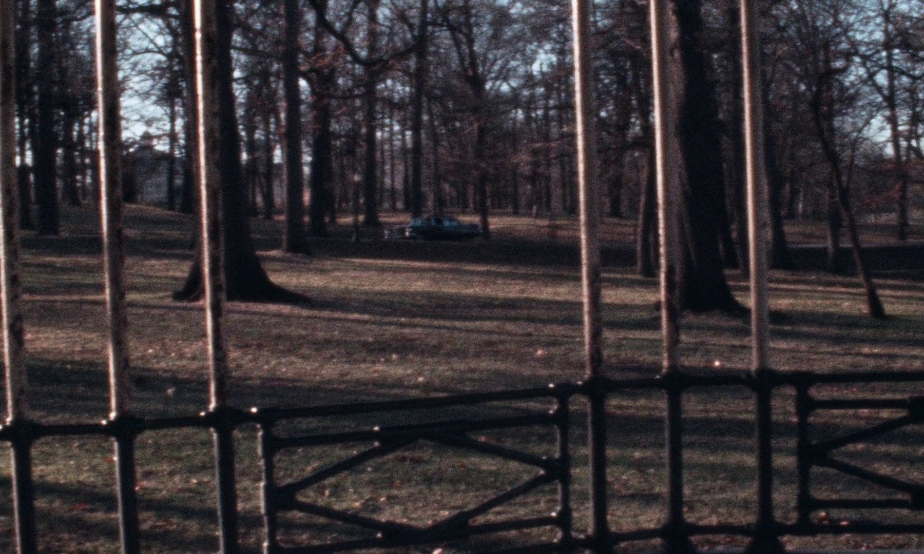 Pink Flamingos (1979) —  shot,  lighting