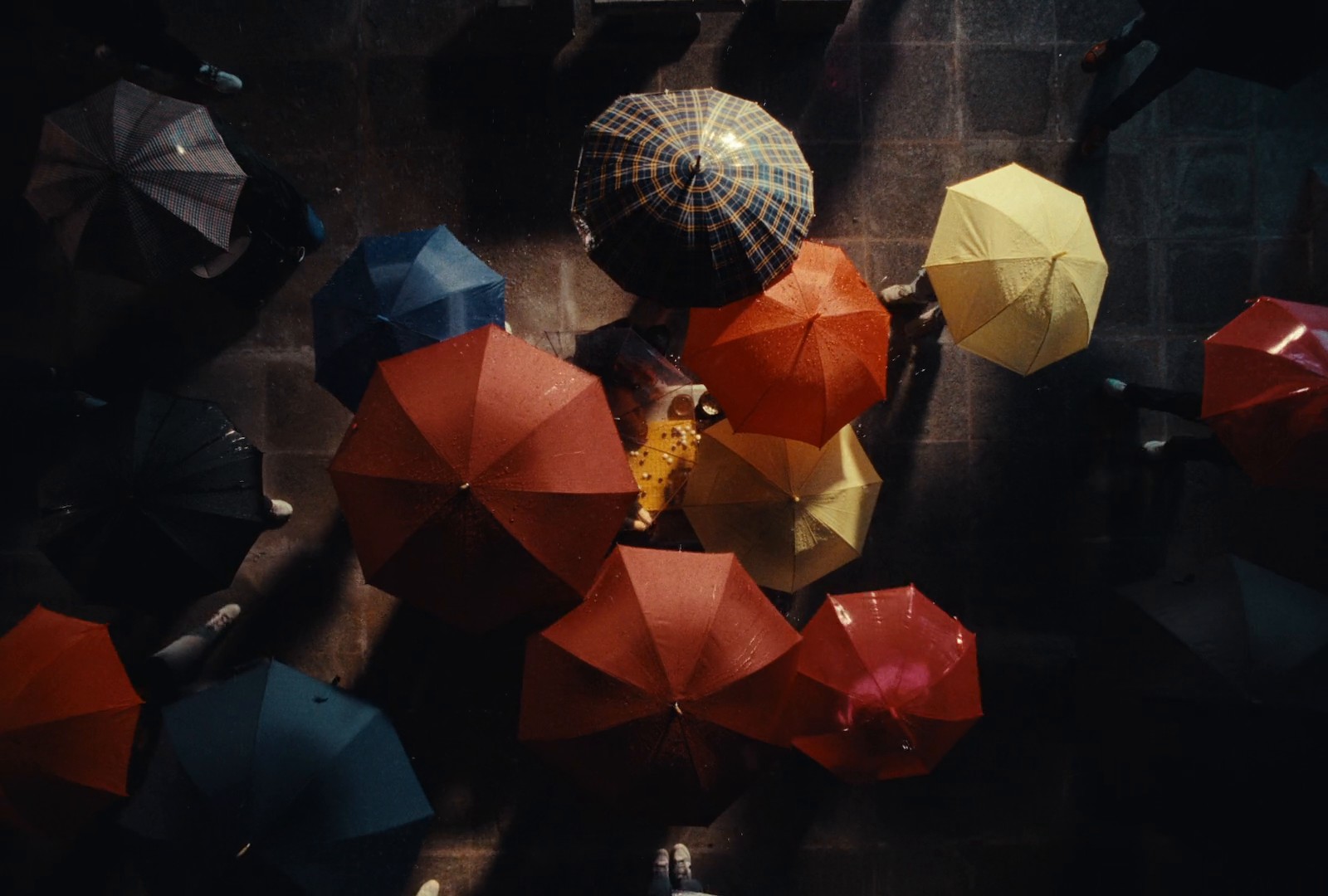 Bugaboo - "Designed for the Future" (2024) —  shot,  lighting