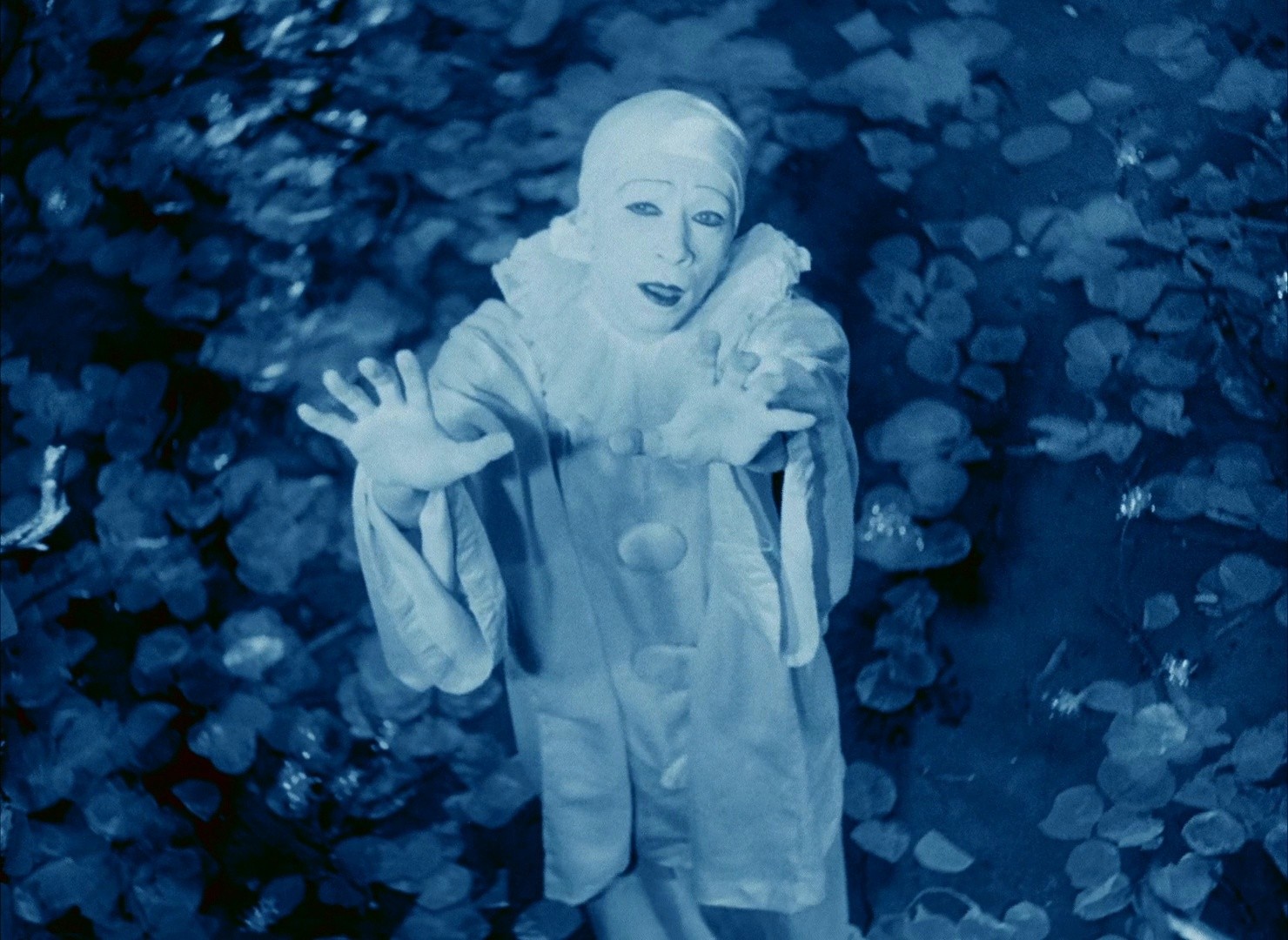 Rabbit's Moon (2009) —  shot,  lighting