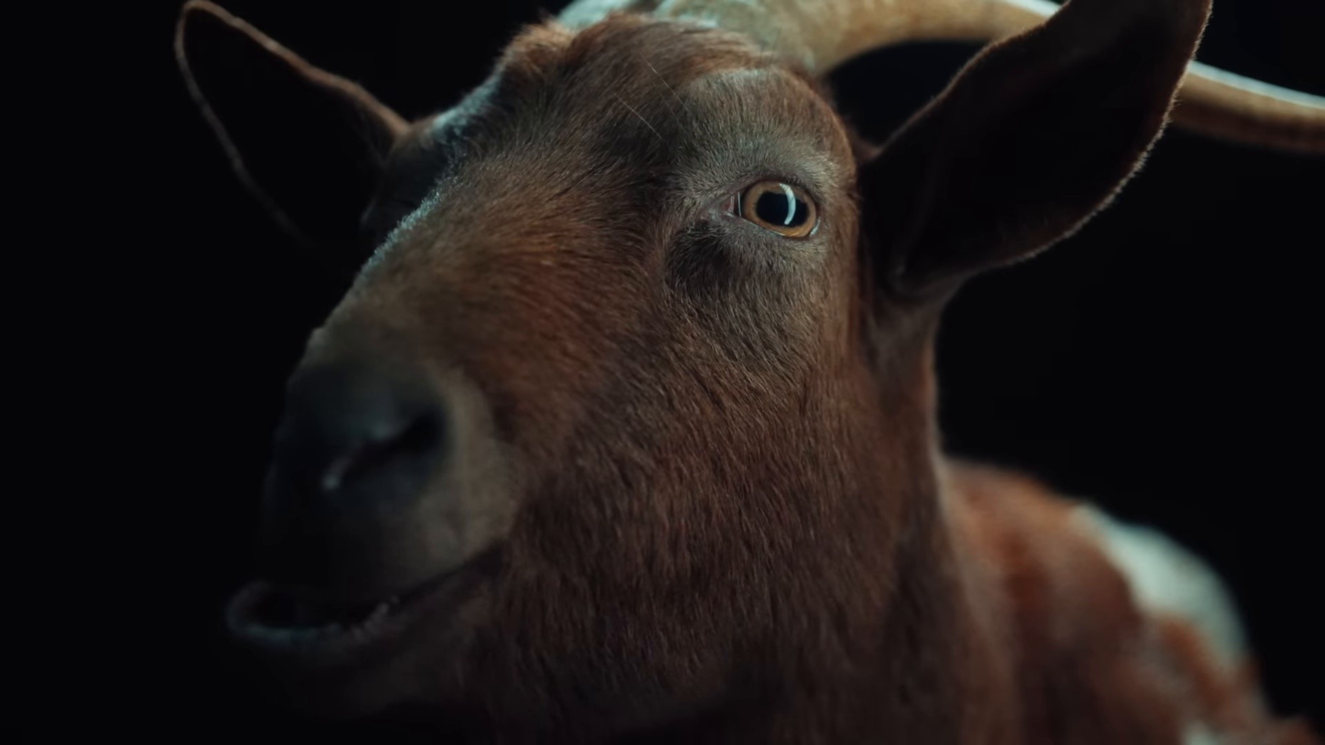 I'm So Happy (2024) —  shot,  lighting