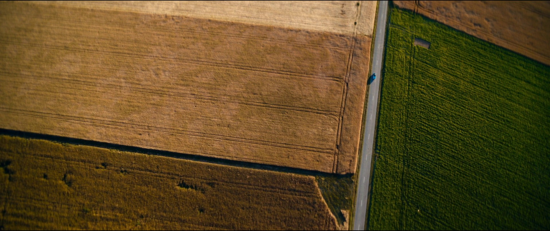 Poly (2020) —  shot,  lighting