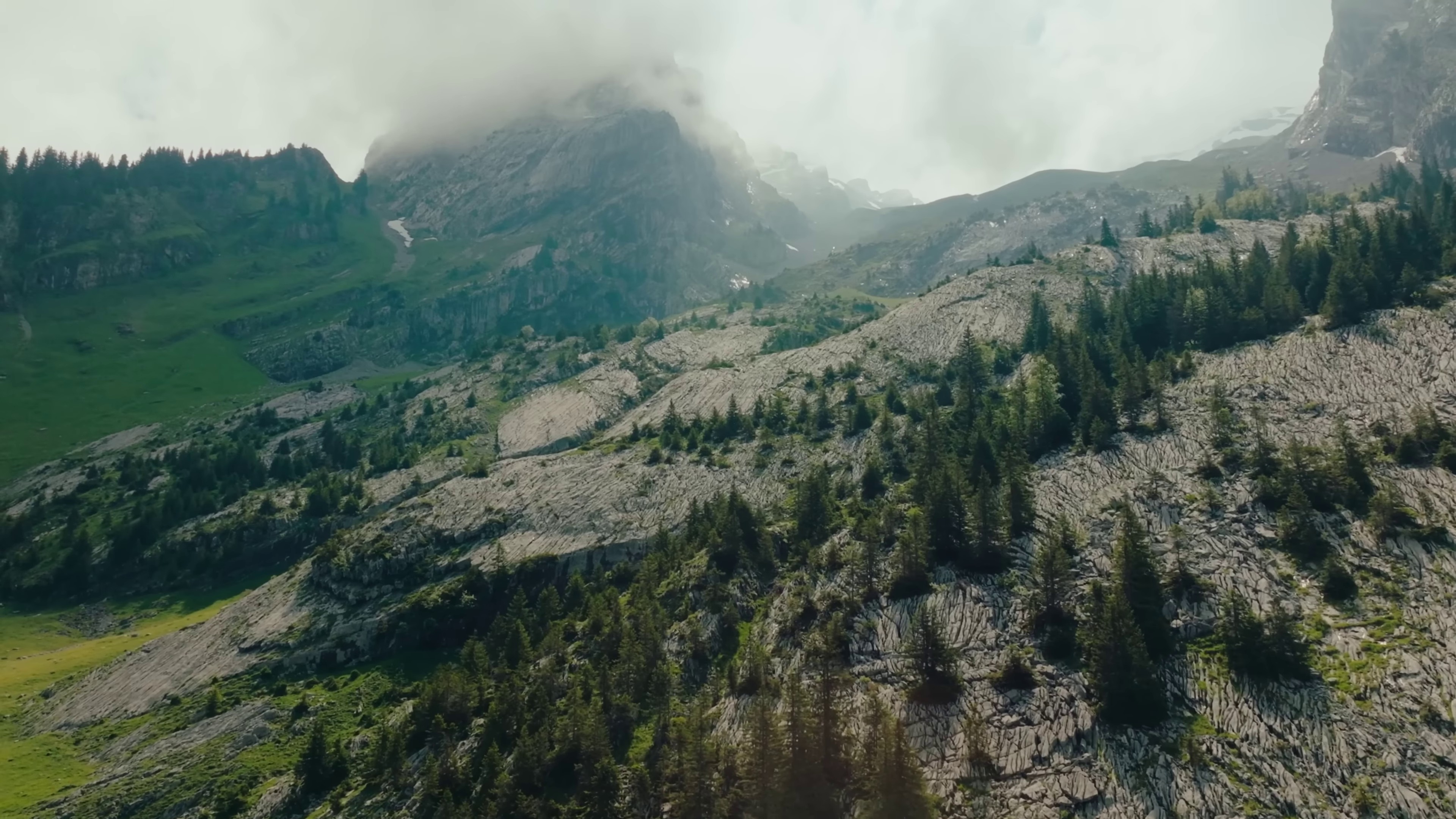 En vrai (2023) —  shot,  lighting