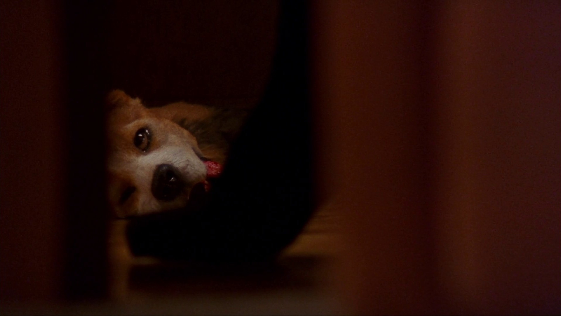 Audition (1999) —  shot,  lighting