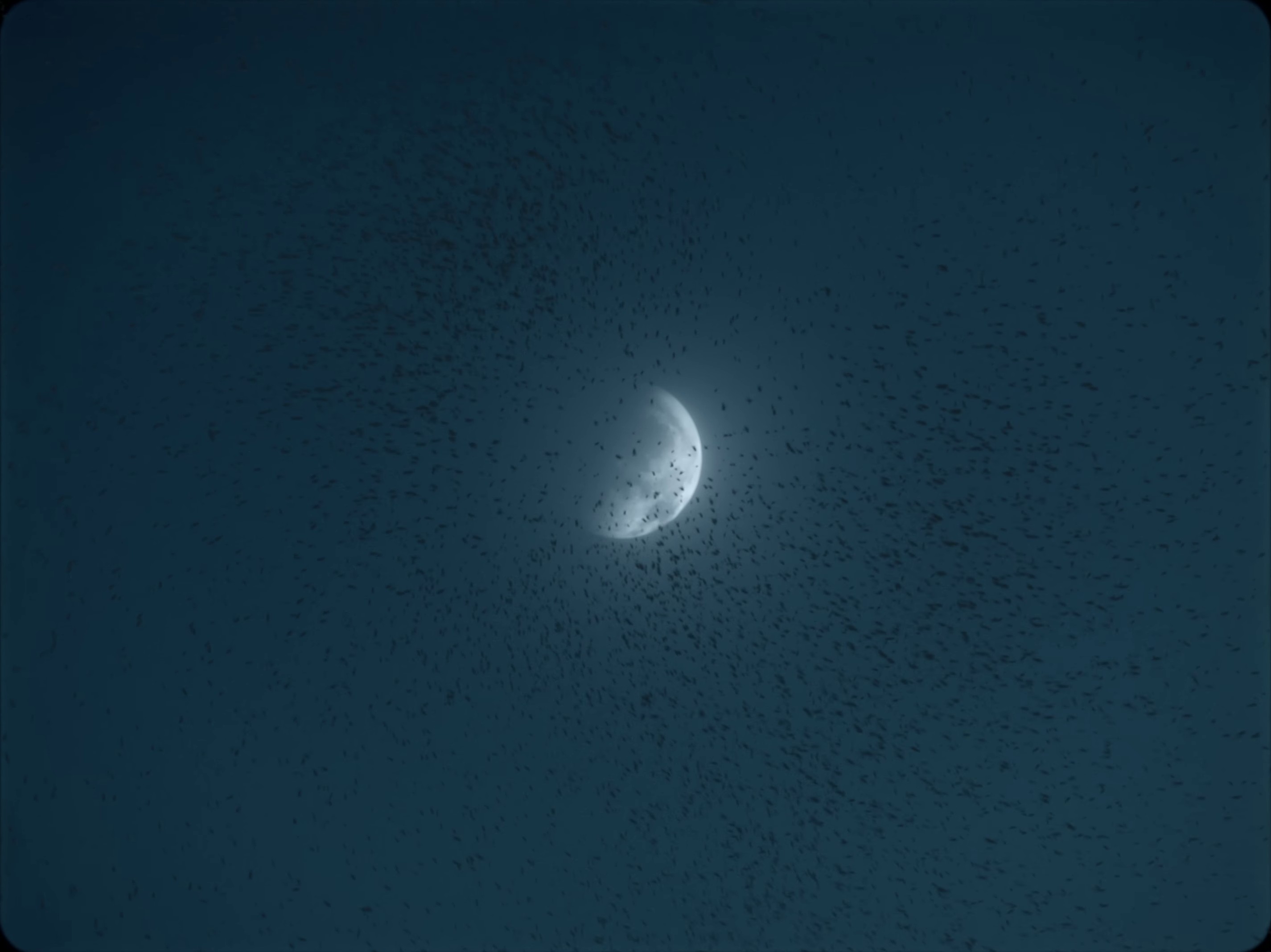 if looks could kill (2023) —  shot,  lighting