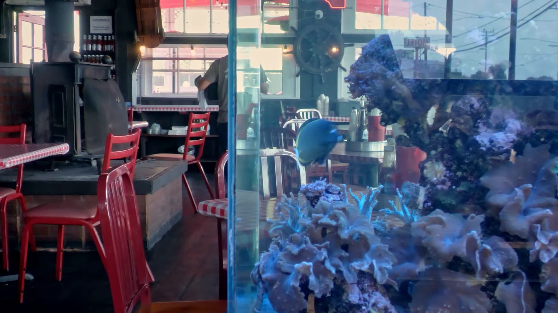 Coming Back For More (2024) —  shot,  lighting