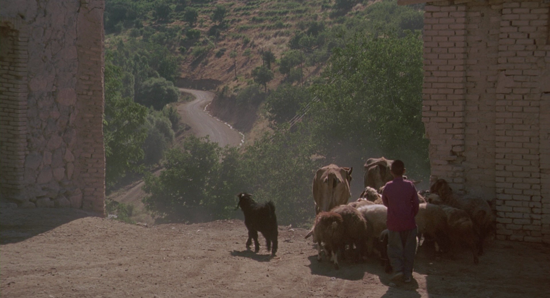 The Wind Will Carry Us (2000) —  shot,  lighting