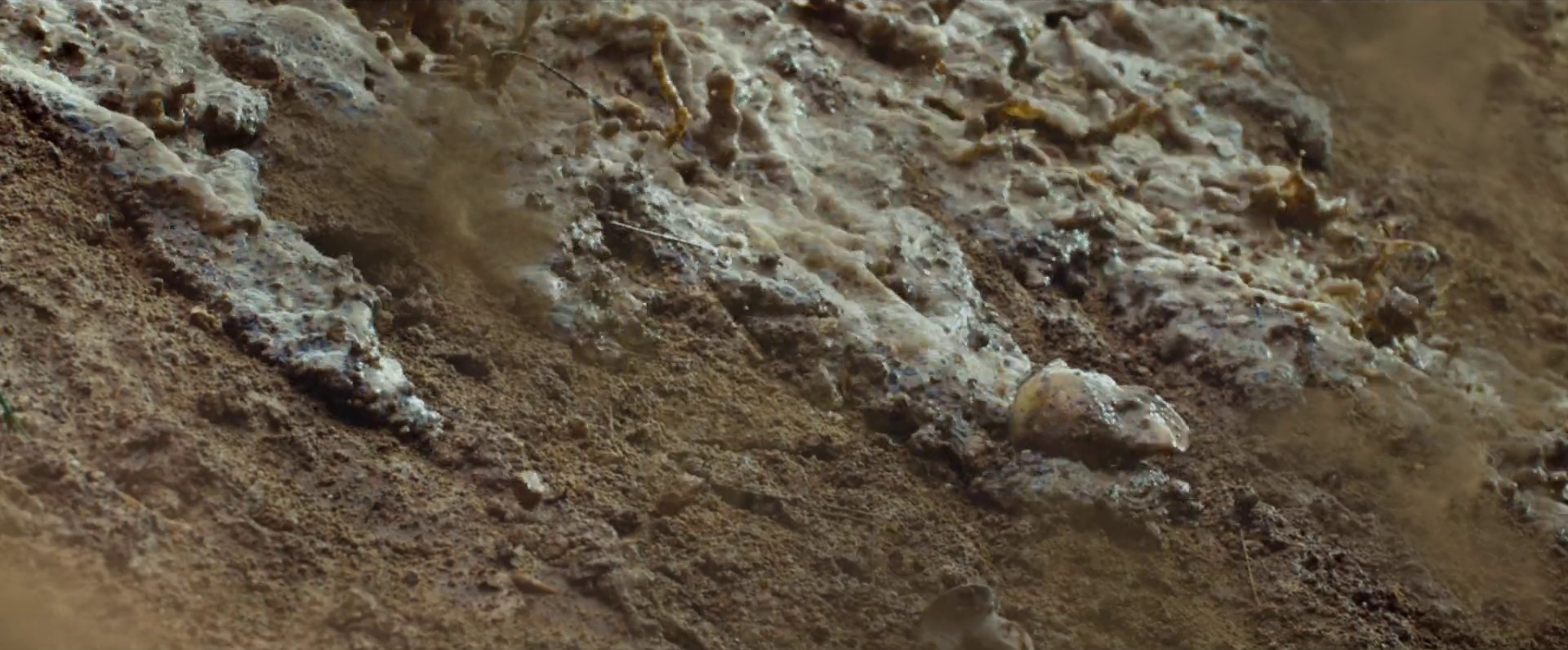 Piss On Your Grave (2015) —  shot,  lighting