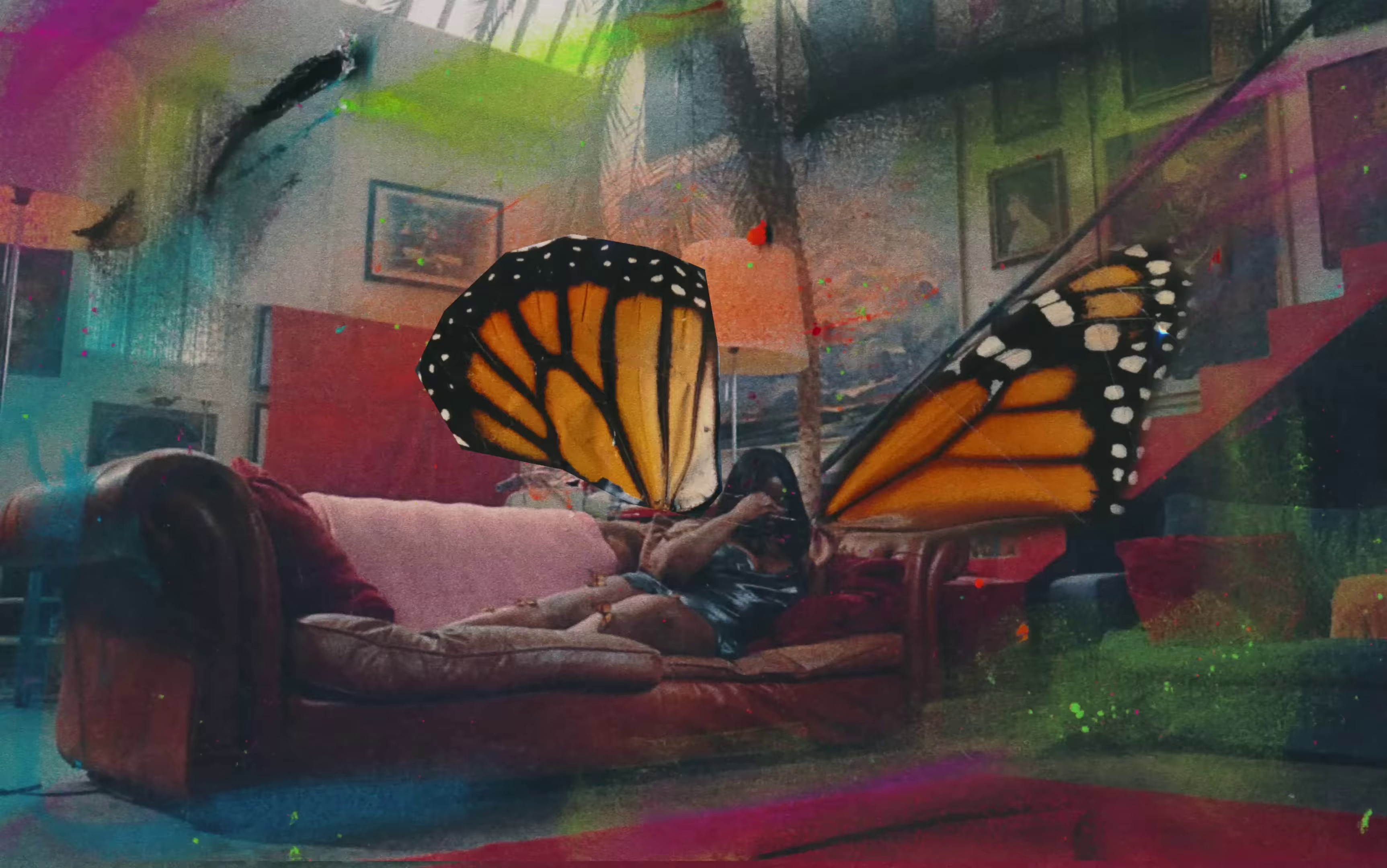Papillon Monarque (2023) —  shot,  lighting