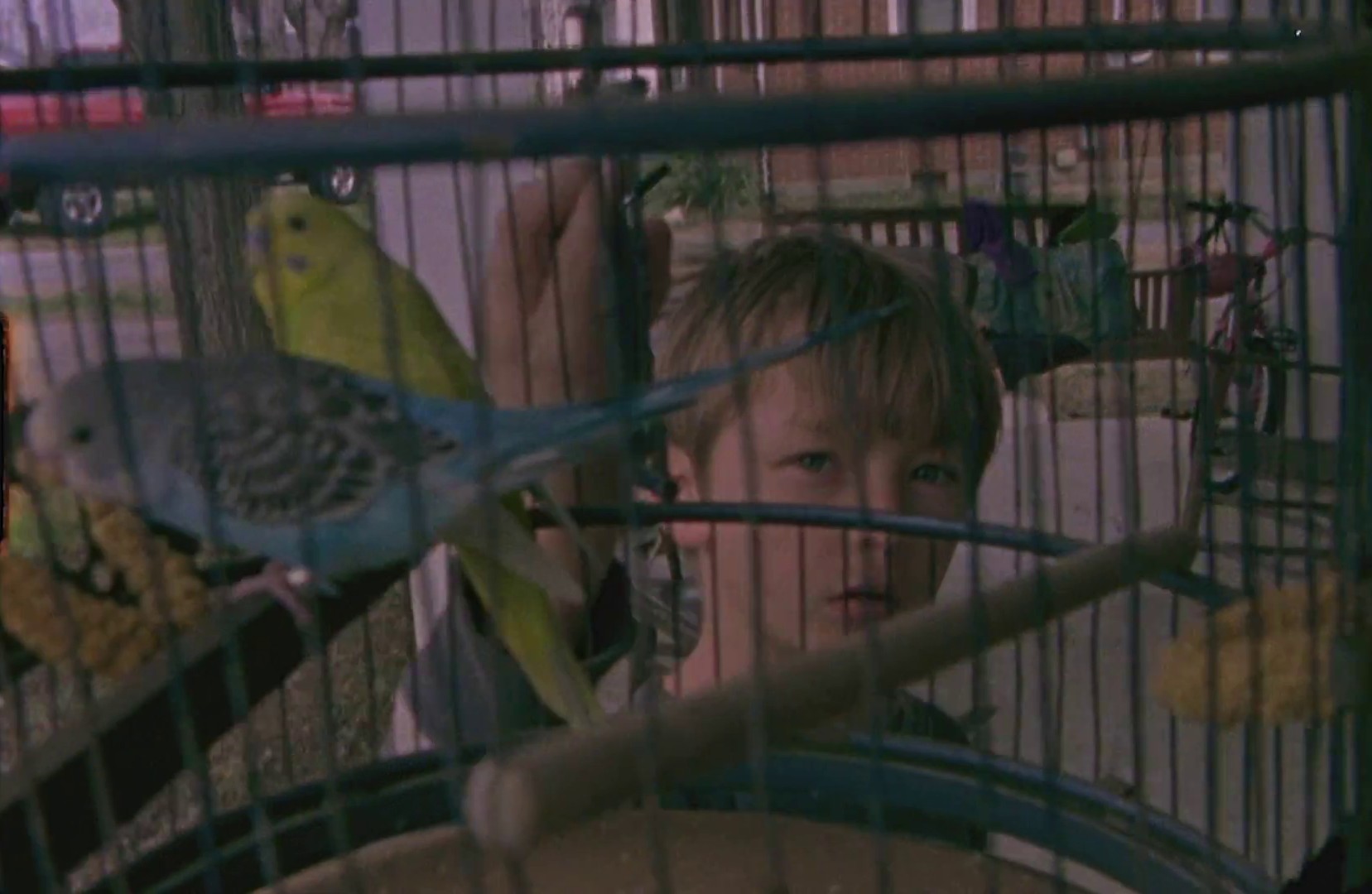 Wings (2013) —  shot,  lighting