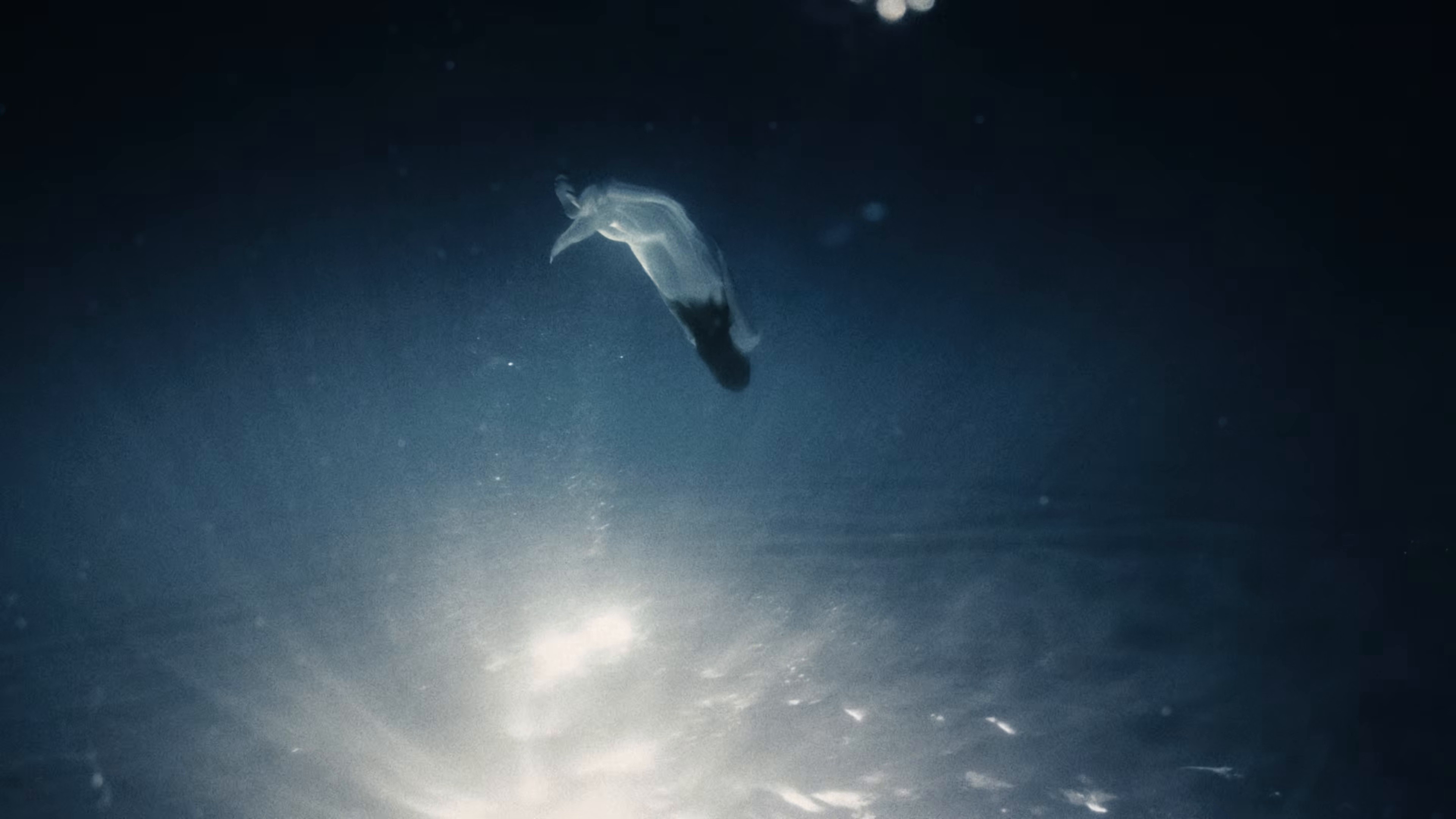 Mermaid Life (2026) —  shot,  lighting