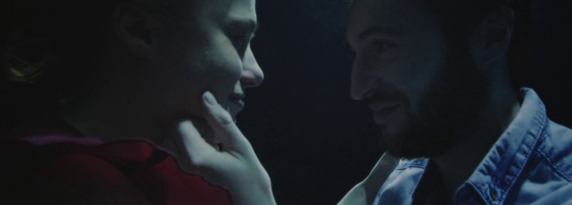 Halcyon Birds (2016) —  shot,  lighting