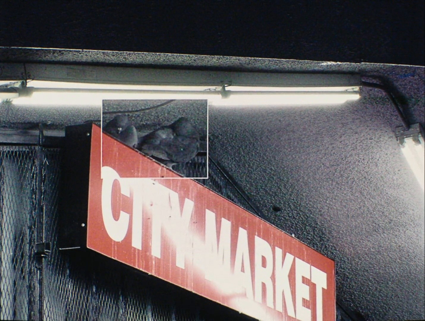 thought i knew you better (2026) —  shot,  lighting