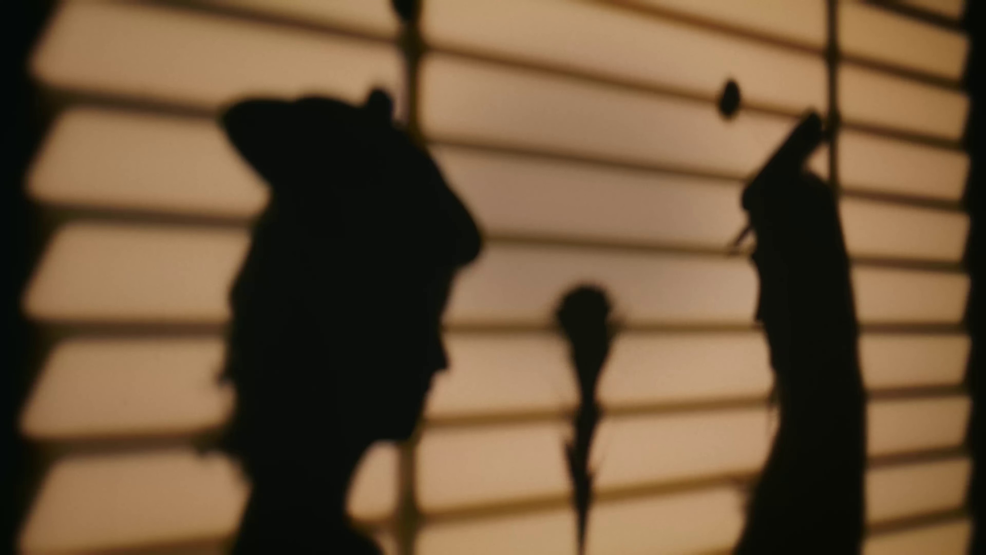 Watercolor Flowers (2023) —  shot,  lighting