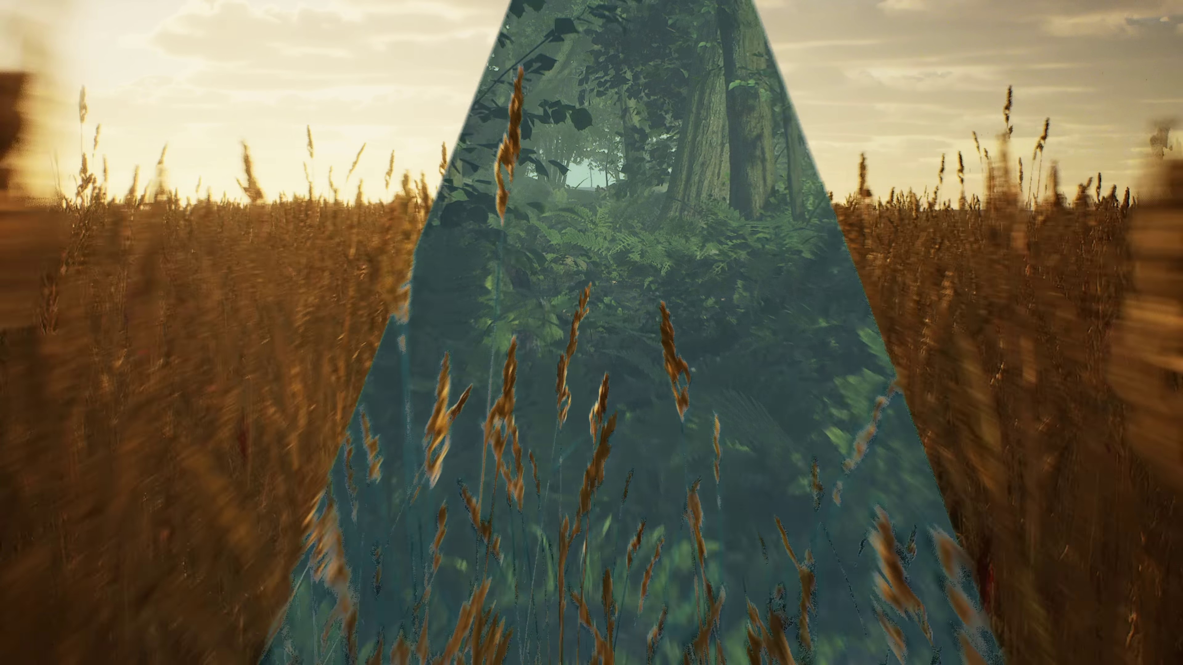 Will Anybody Ever Love Me? (2023) —  shot,  lighting