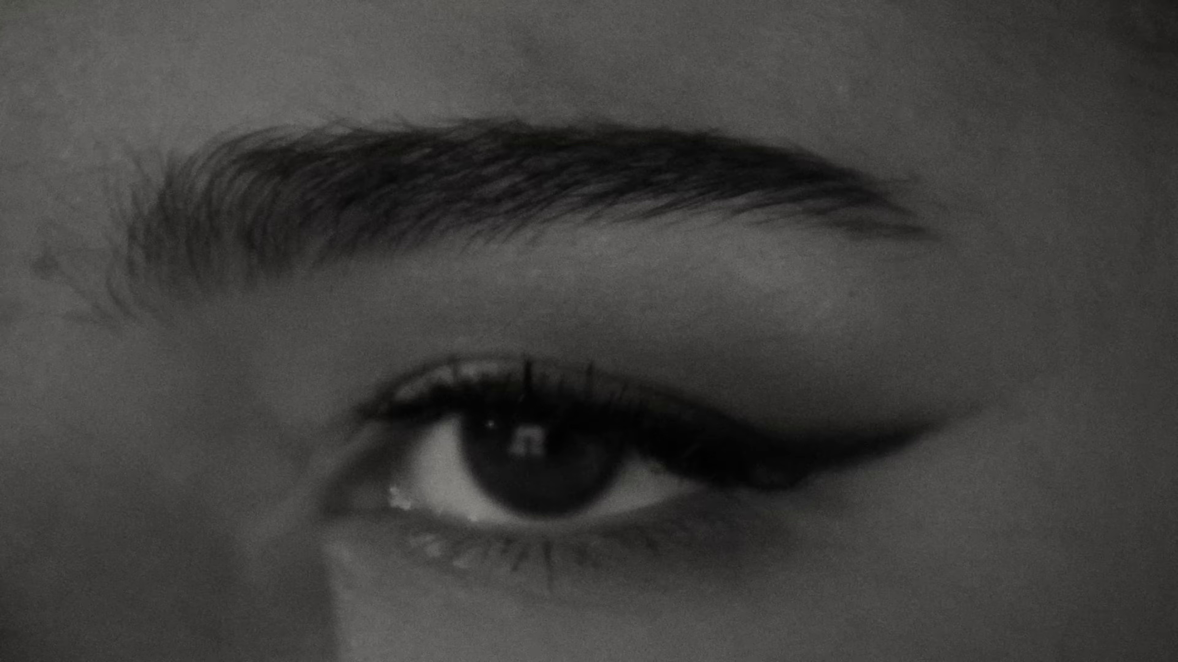 Times Like These (2025) —  shot,  lighting