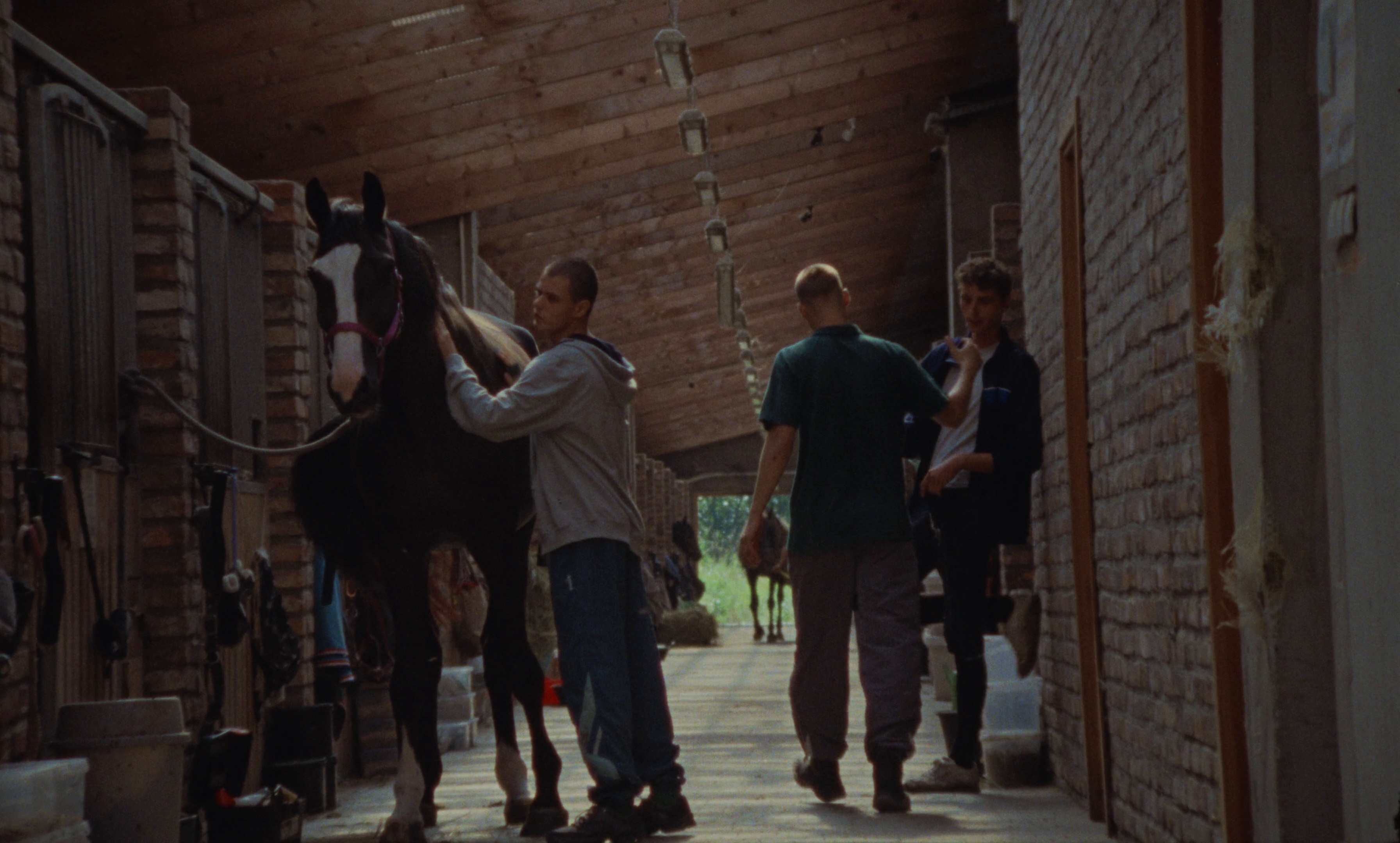 Music for a while (2024) —  shot,  lighting