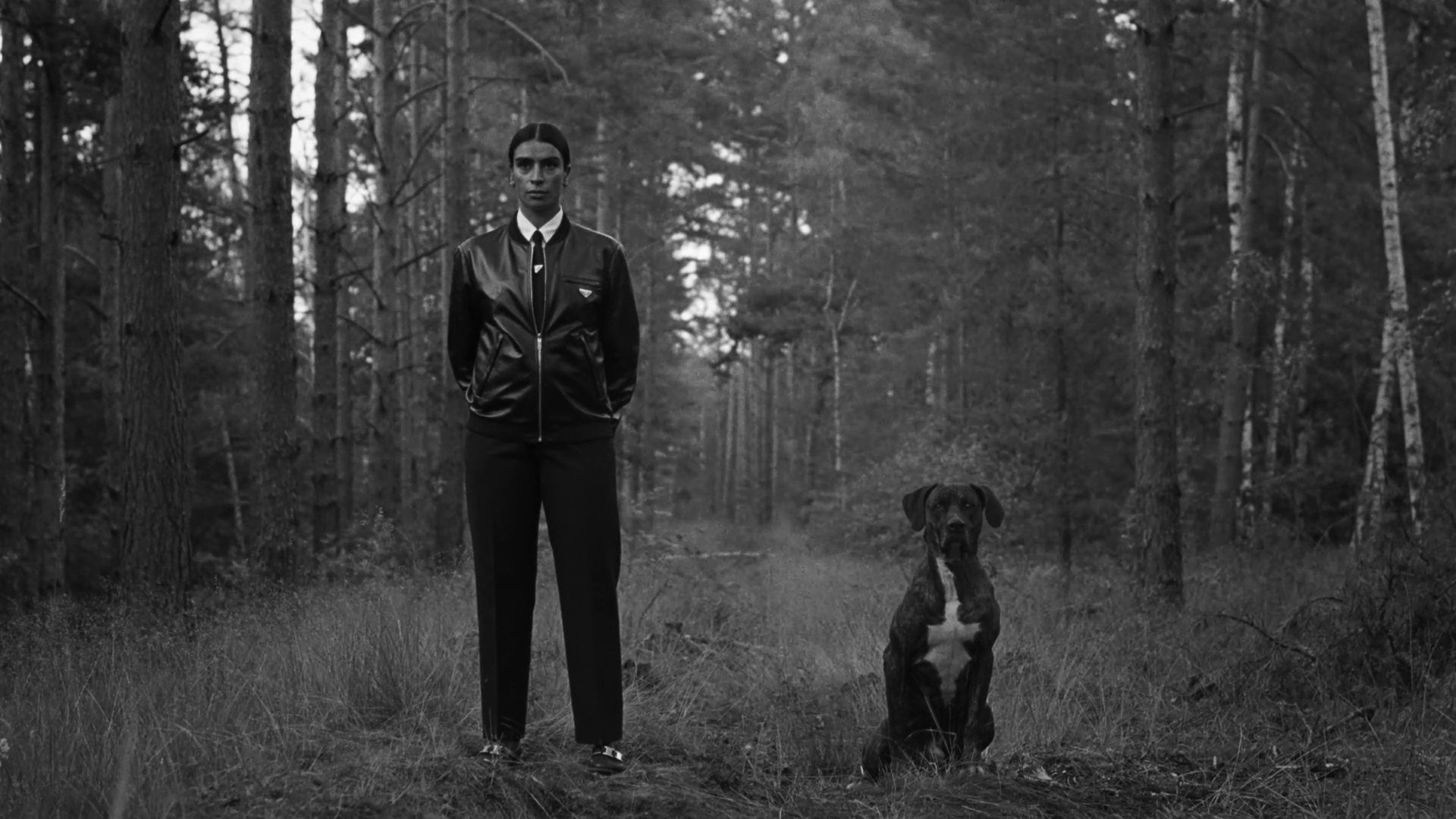 Habibi (2020) —  shot,  lighting