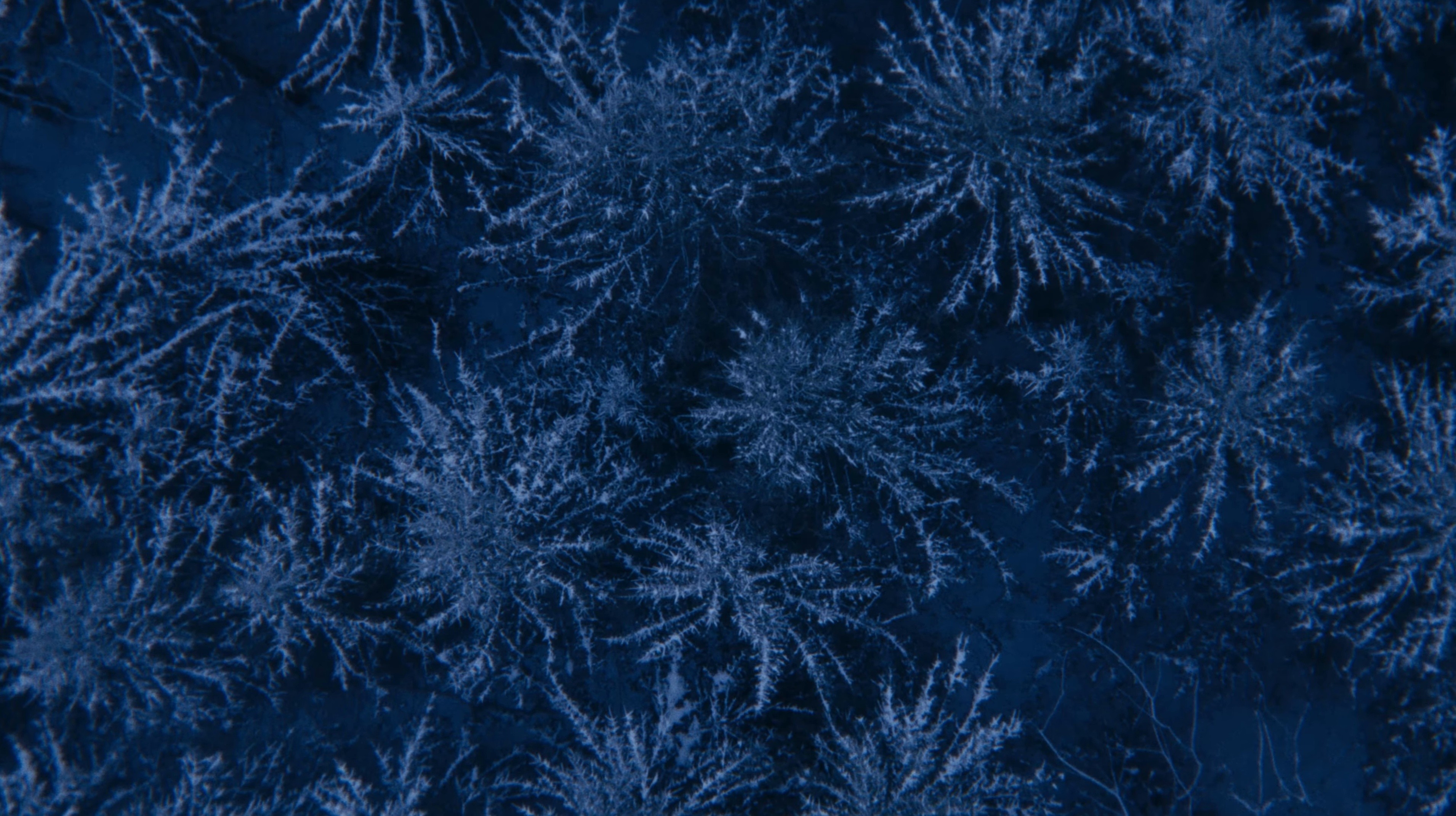 NEVER ENOUGH (2025) —  shot,  lighting