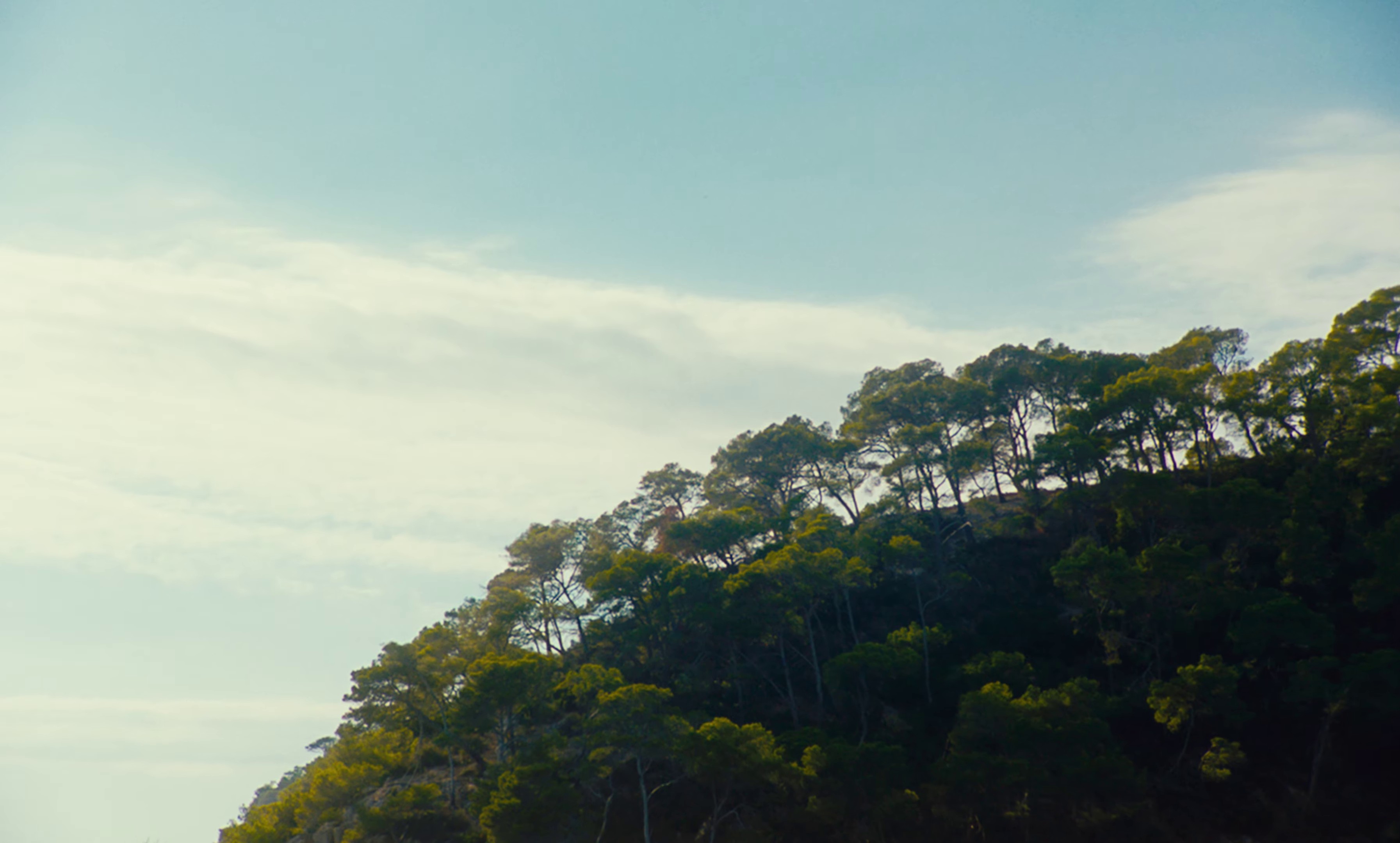 Vahiné (2022) —  shot,  lighting