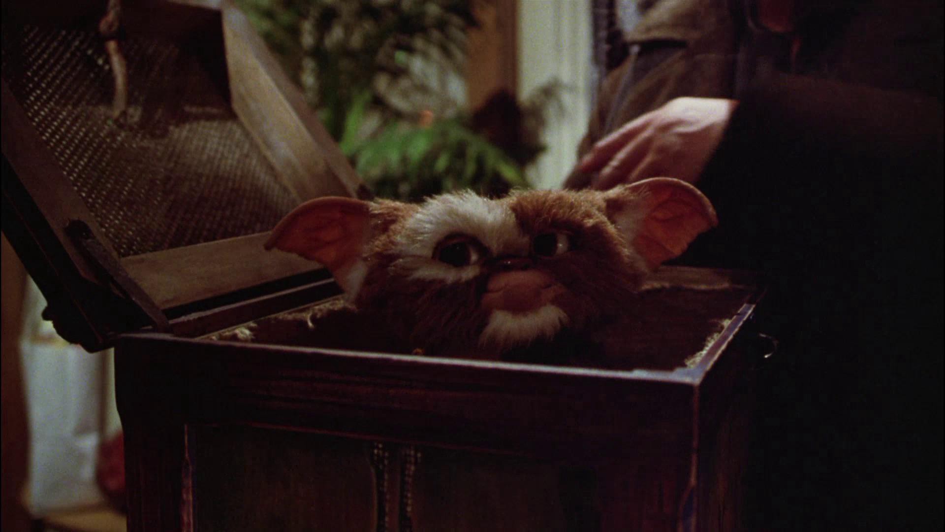 Gremlins (1984) —  shot,  lighting