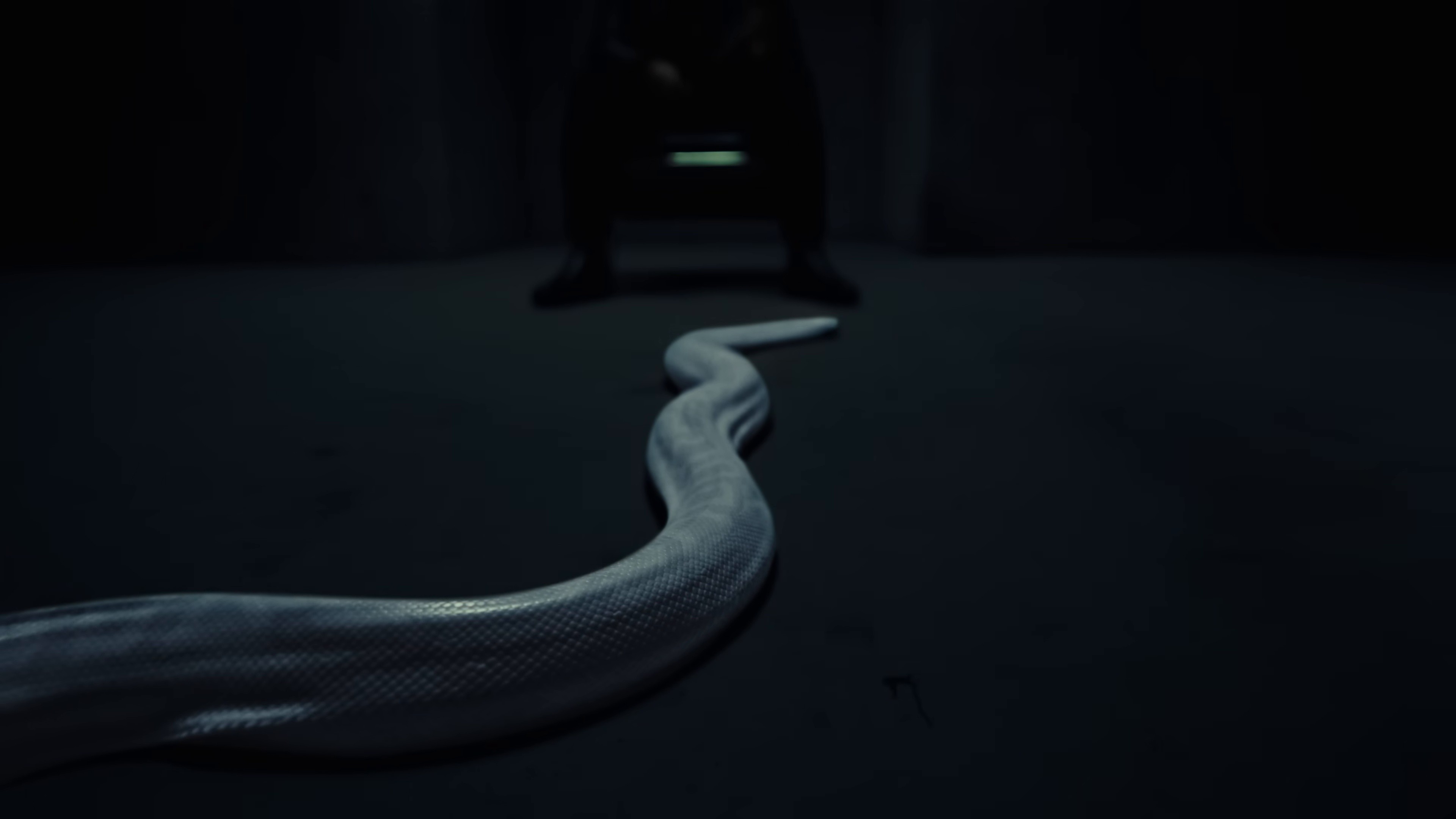 CARTIER SANTOS (2025) —  shot,  lighting