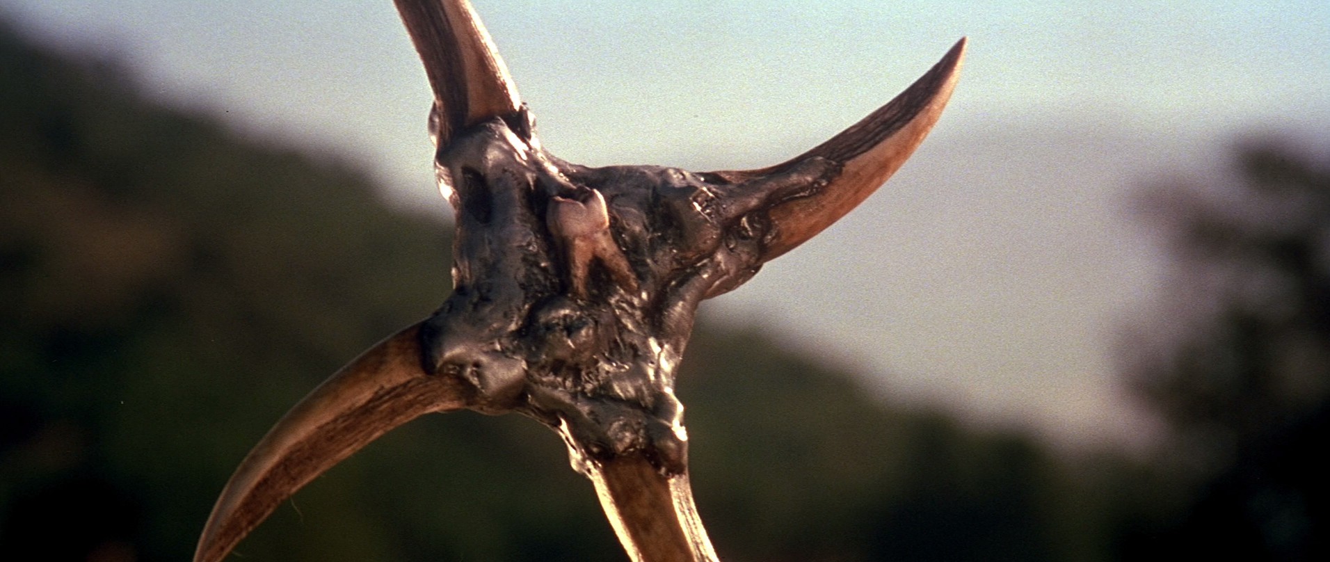 Jeepers Creepers 2 (2003) —  shot,  lighting